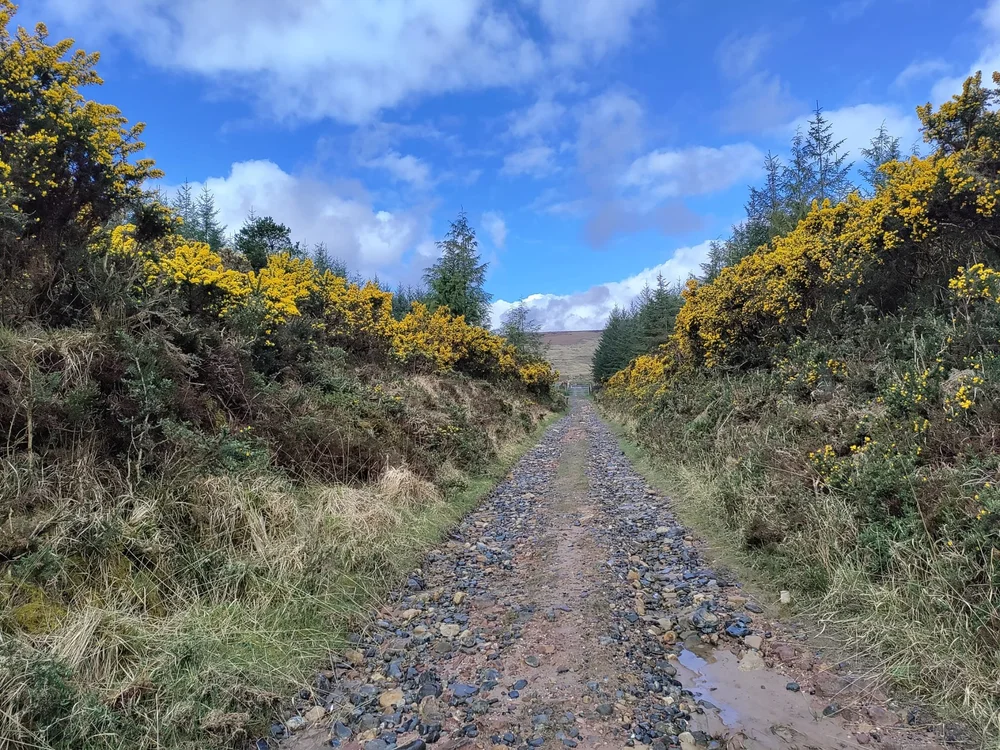 WhatsApp Image 2023-05-05 at 11.44.20 (2).jpeg