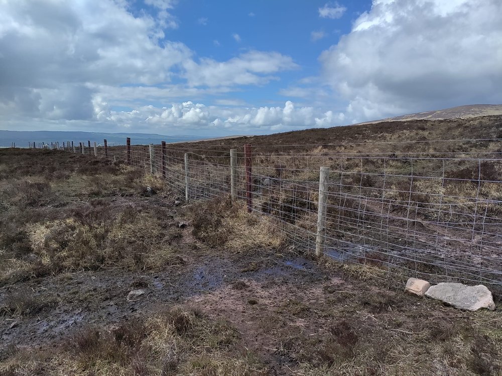 WhatsApp Image 2023-05-05 at 11.44.22.jpeg