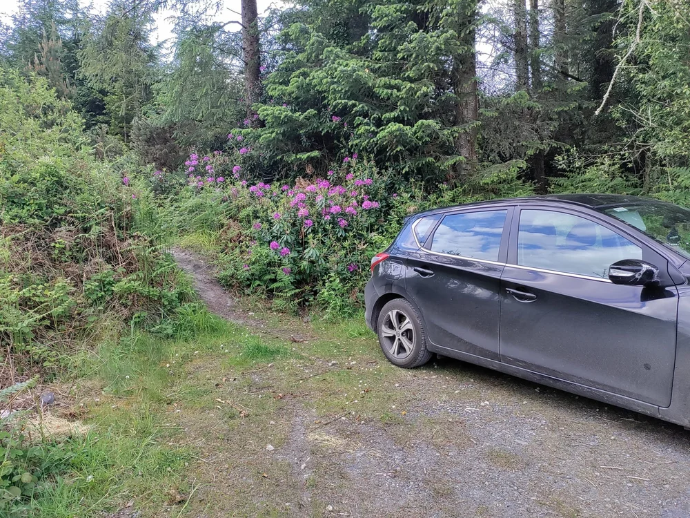 WhatsApp Image 2023-05-31 at 16.24.12 (2).jpeg