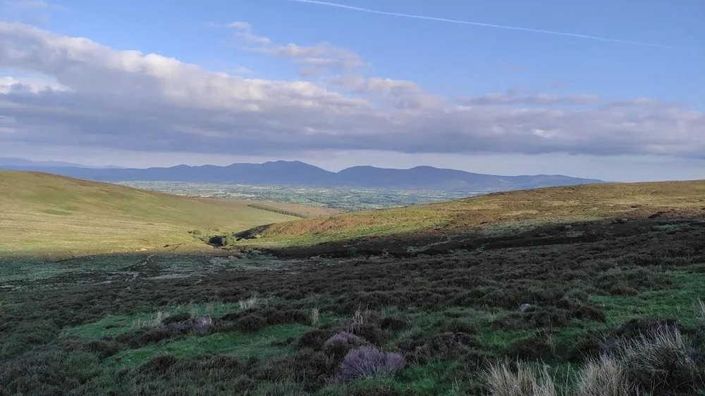 WhatsApp Image 2023-05-31 at 16.24.11 (4).jpeg