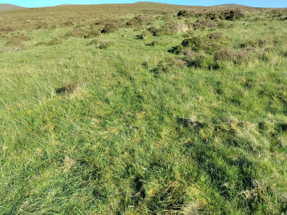 WhatsApp Image 2023-05-31 at 16.24.05.jpeg