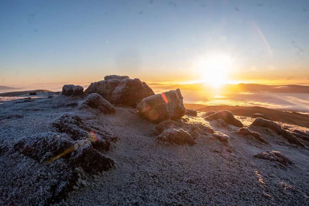 WhatsApp Image 2024-01-21 at 18.45.07.jpeg