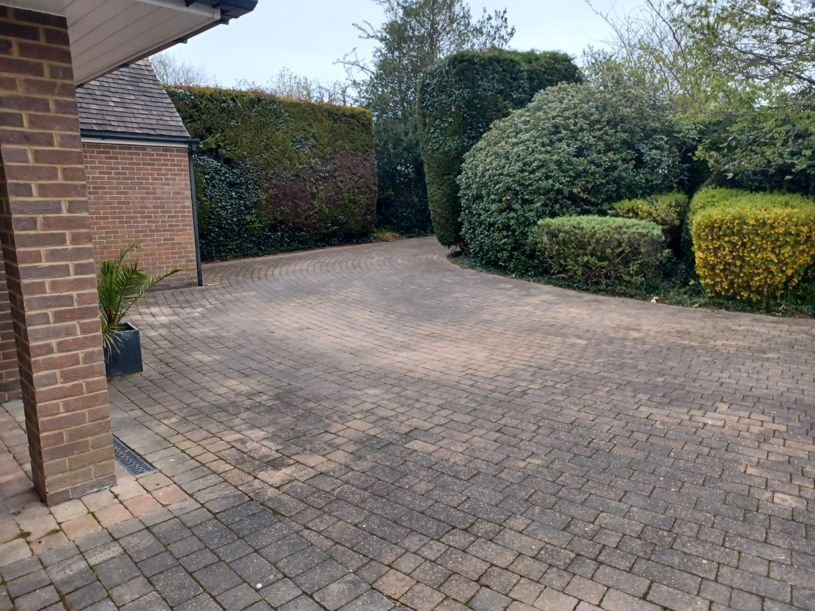 Driveway-Cleaners