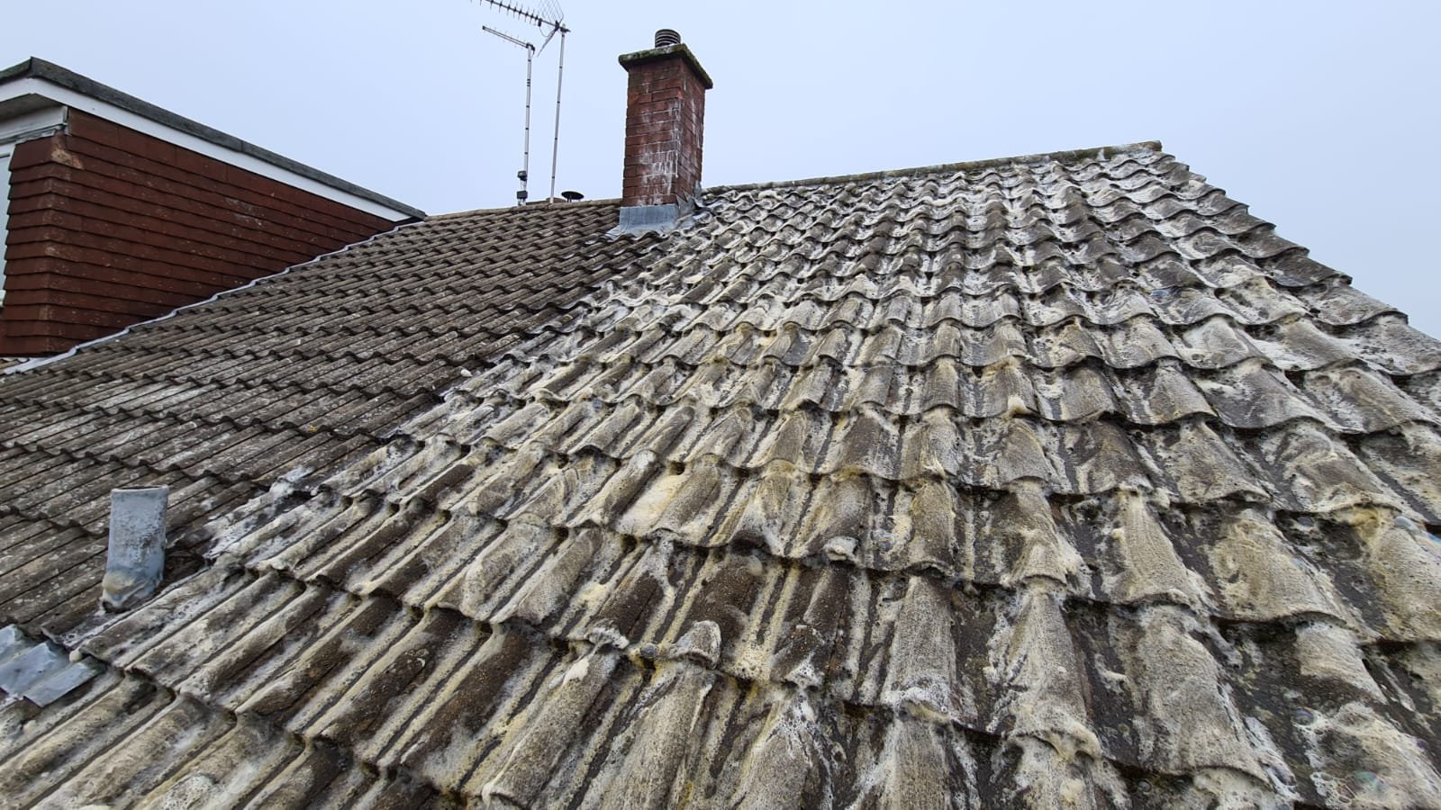 Roof-Moss-Removal-Essex