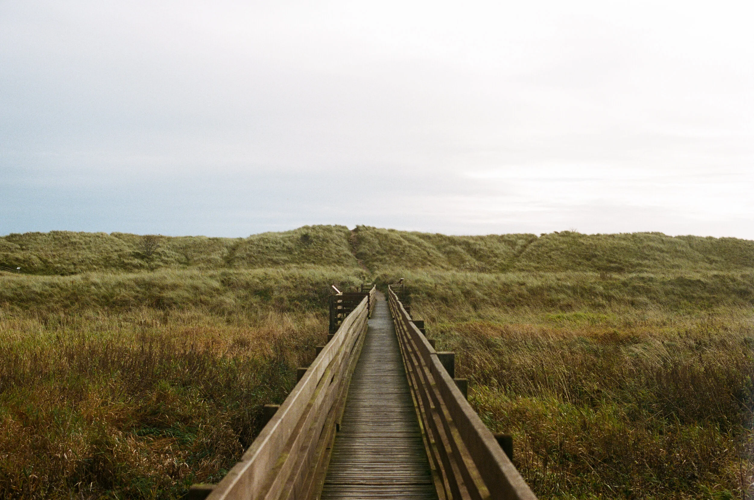 A wooden boardwalk trail extends through a grassy natural landscape, leading toward distant hills under a cloudy sky.