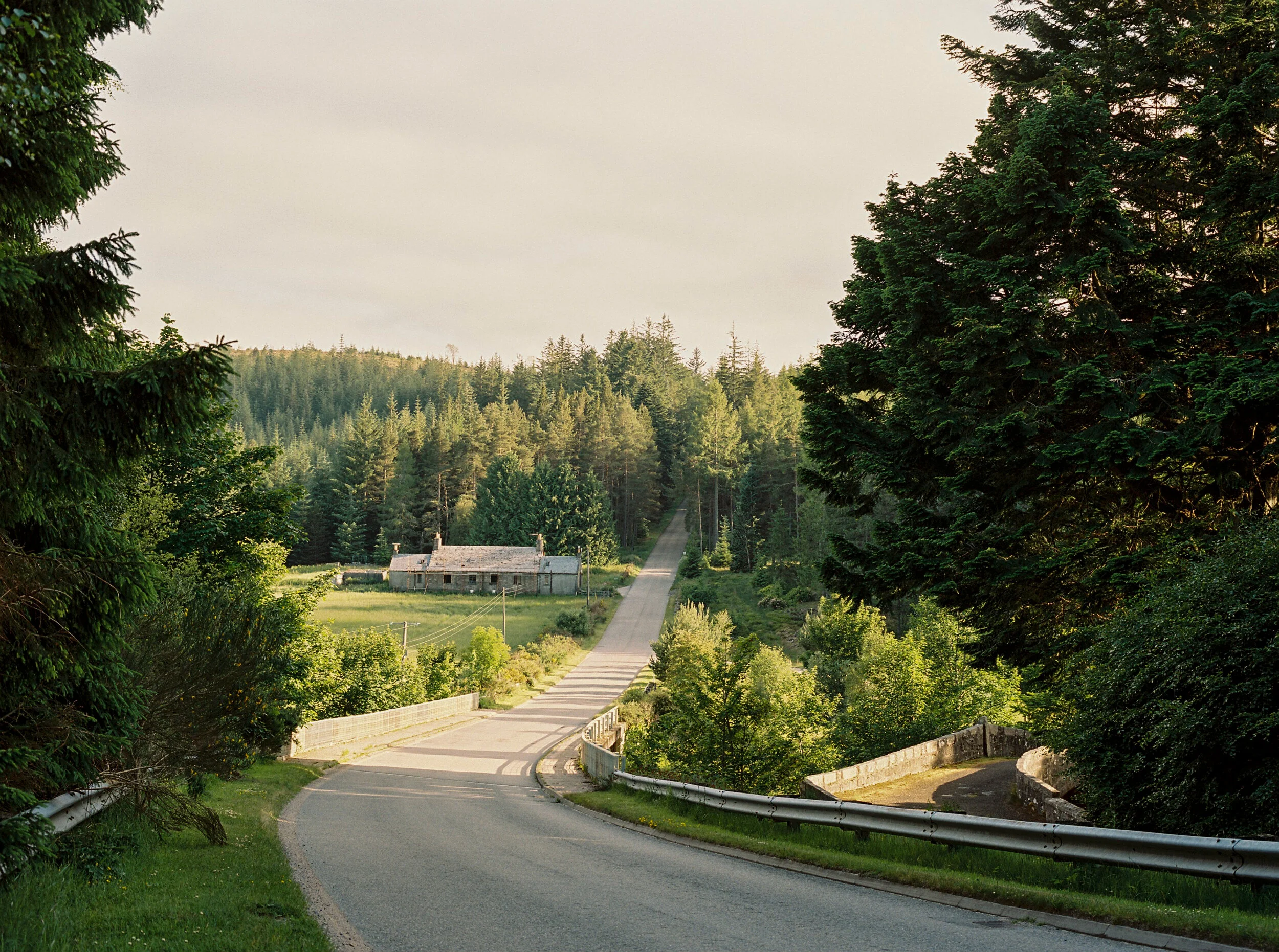 A winding road descending through a forested area with tall green trees on either side and an open field with trees in the distance under a cloudy sky.