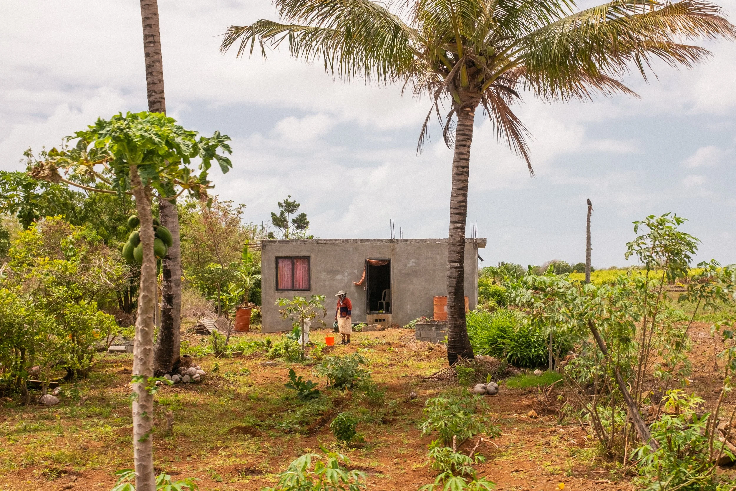 A small concrete house surrounded by lush greenery and tall palm trees, with a person standing outside near the entrance, and a woman wearing a hat nearby in a garden setting in Goodlands, Mauritius. 