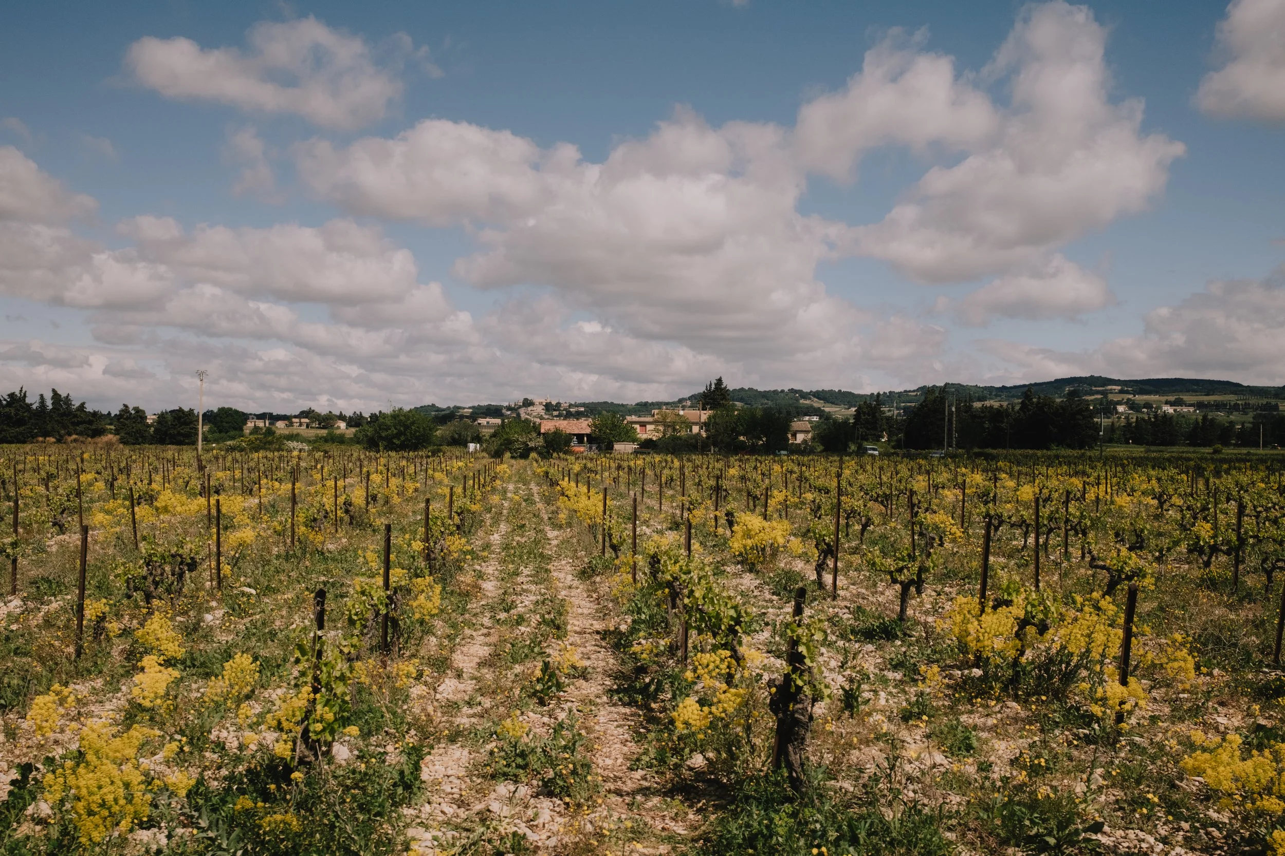 Cad and the Dandy by Department Two-147.jpg