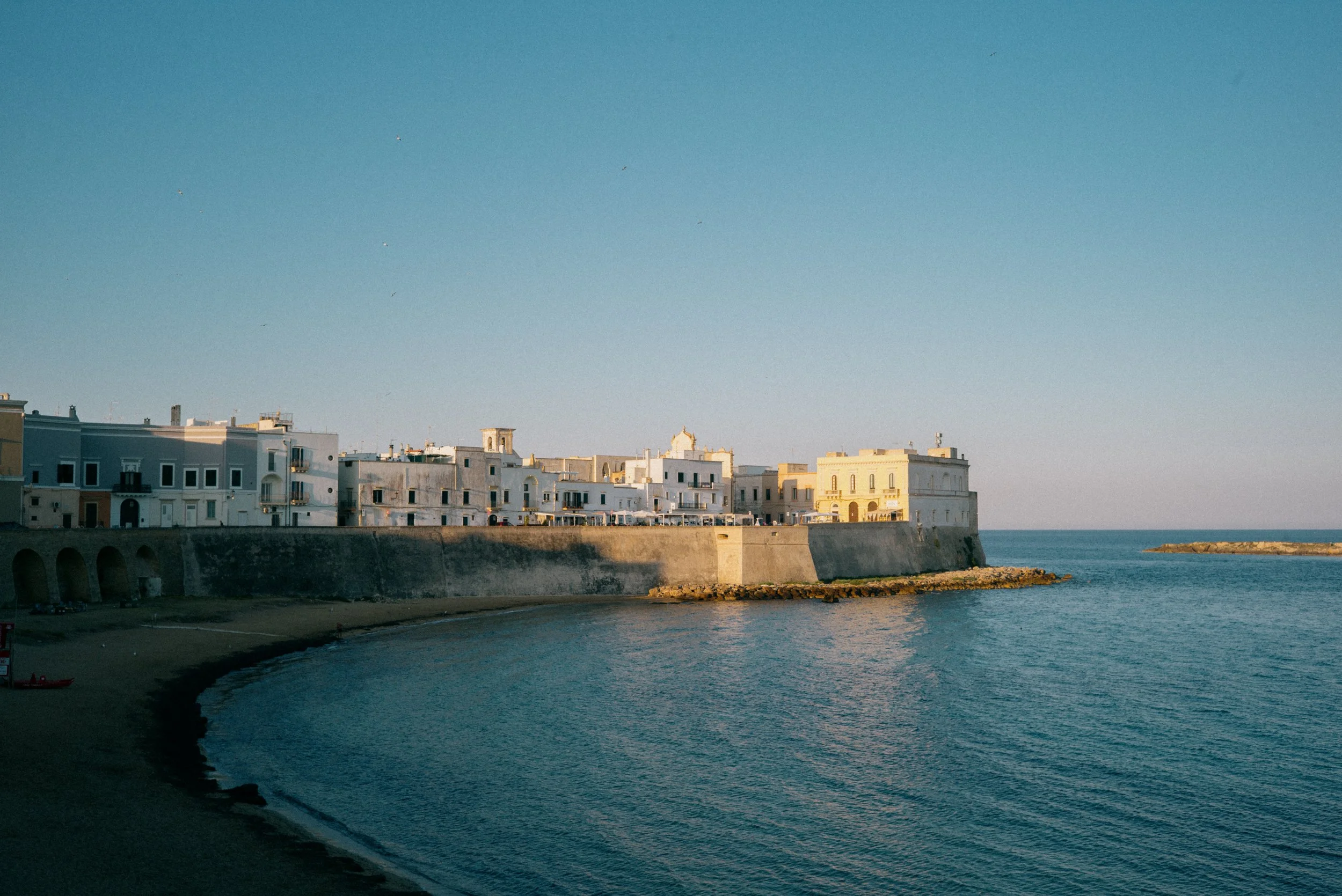 A coastal town with white buildings along a rocky shoreline under a clear blue sky, with some birds flying overhead.