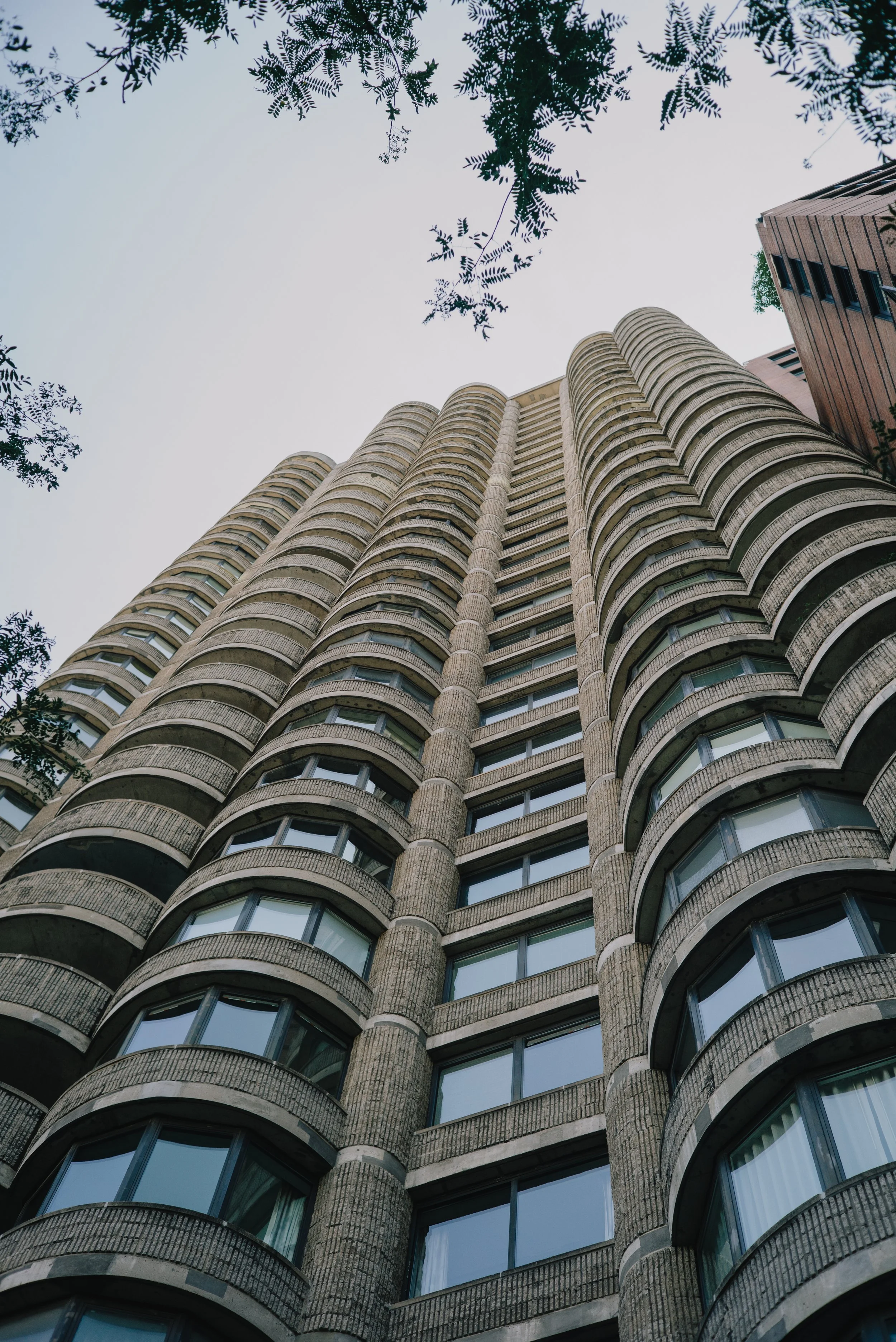 Looking up at a high-rise building with curved balconies and large windows, surrounded by tree branches against a pale sky.