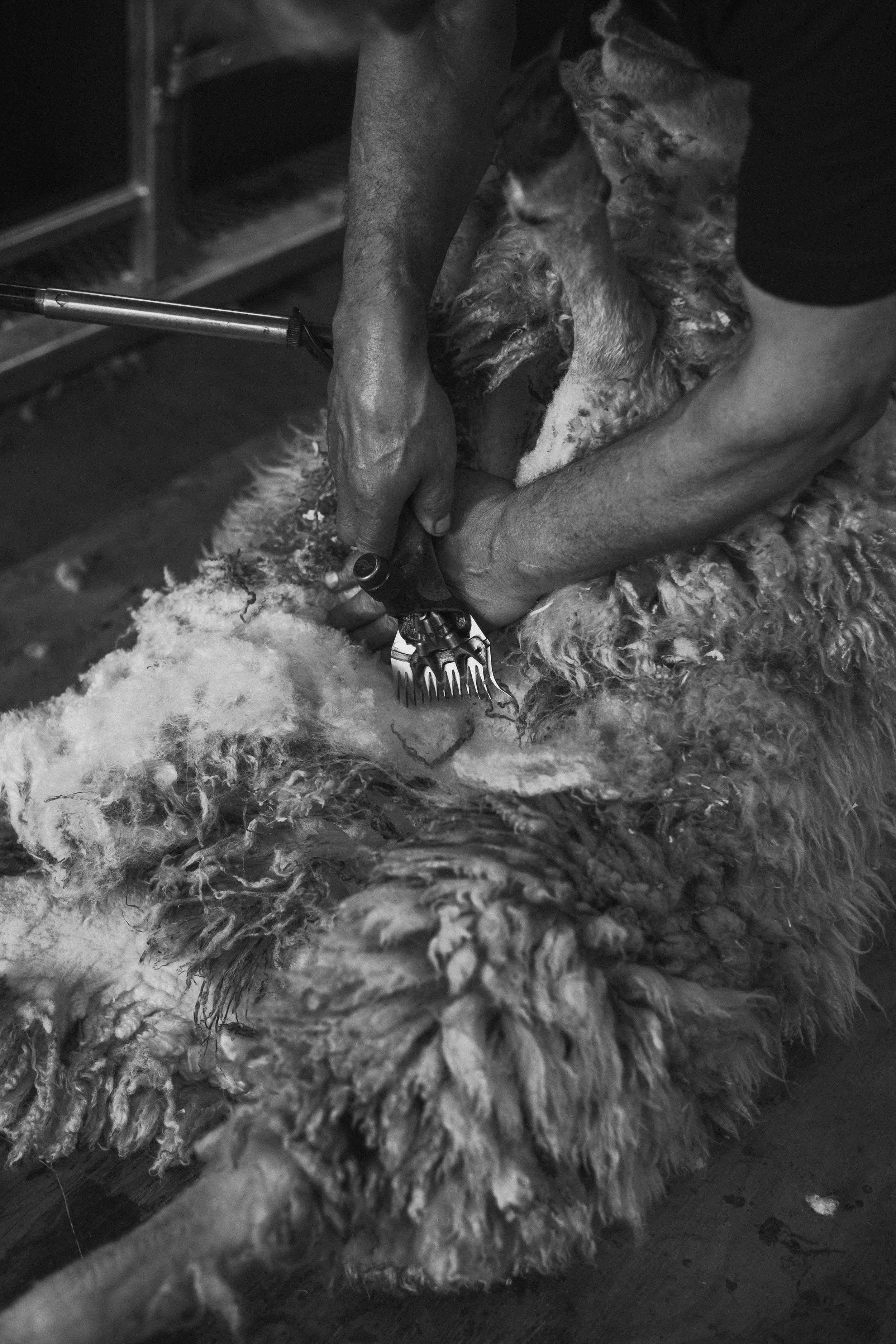 Wool Arran Cross-87.jpg