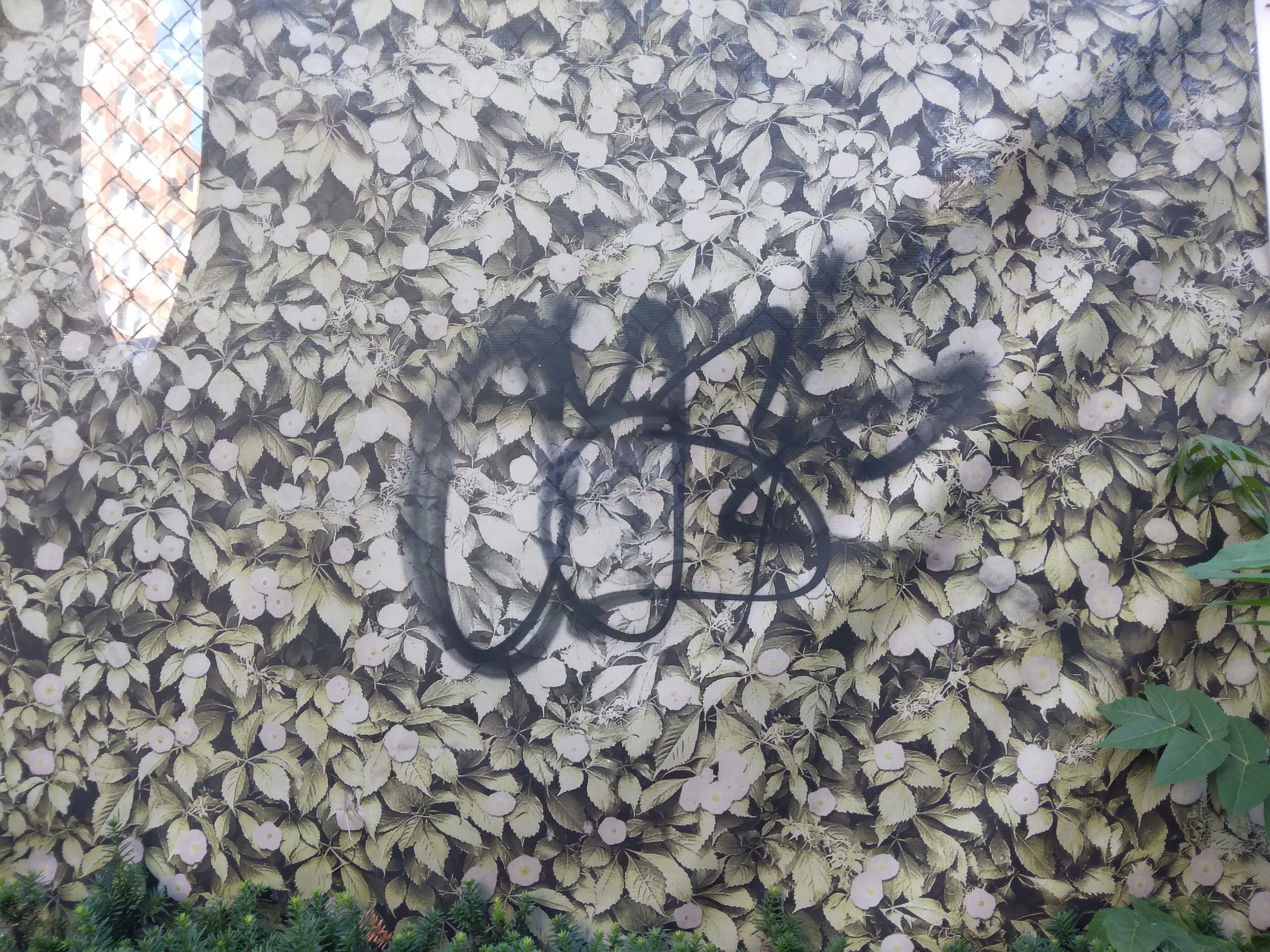 7E00D70C-E9FC-430C-8956-C20E042A8692.jpeg