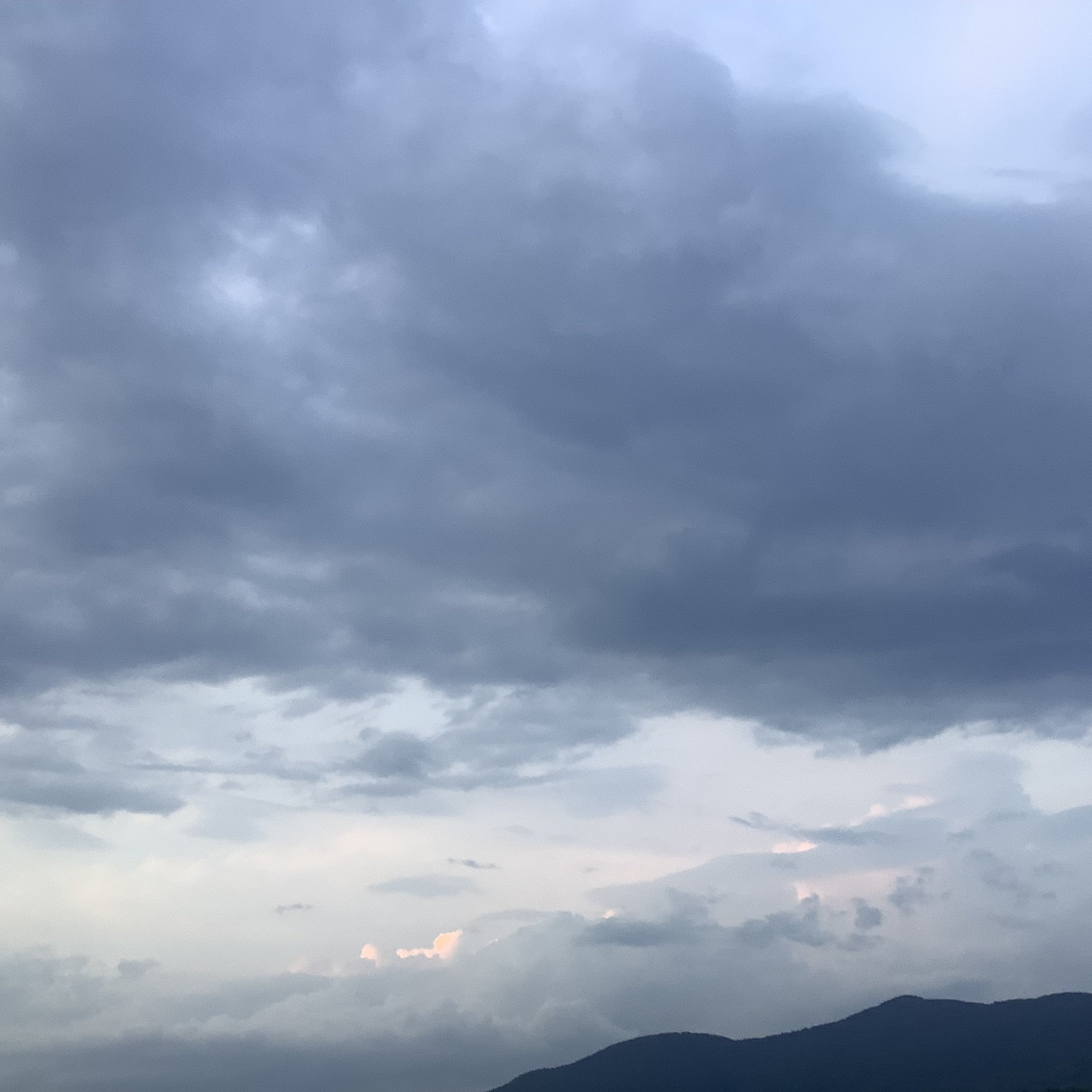 IMG_0737.jpeg