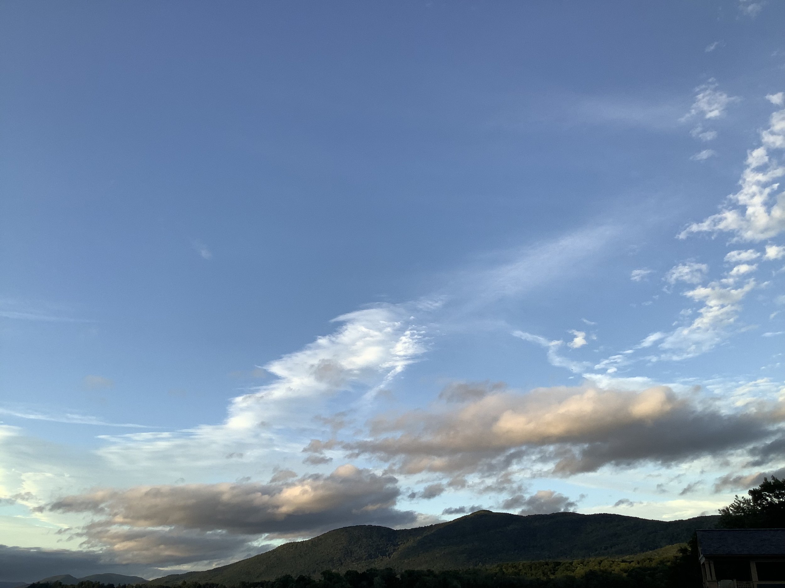 IMG_0740.jpeg