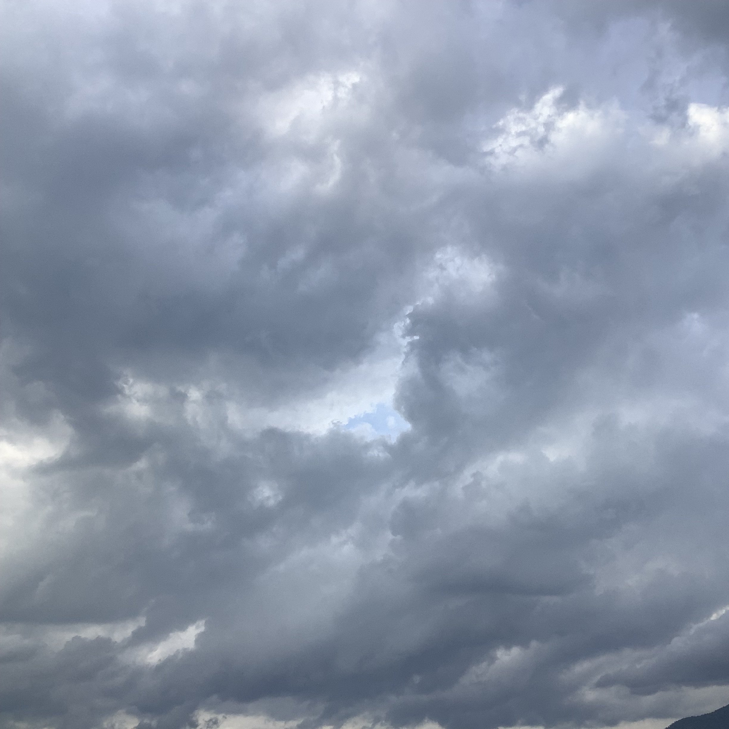 IMG_0733.jpeg
