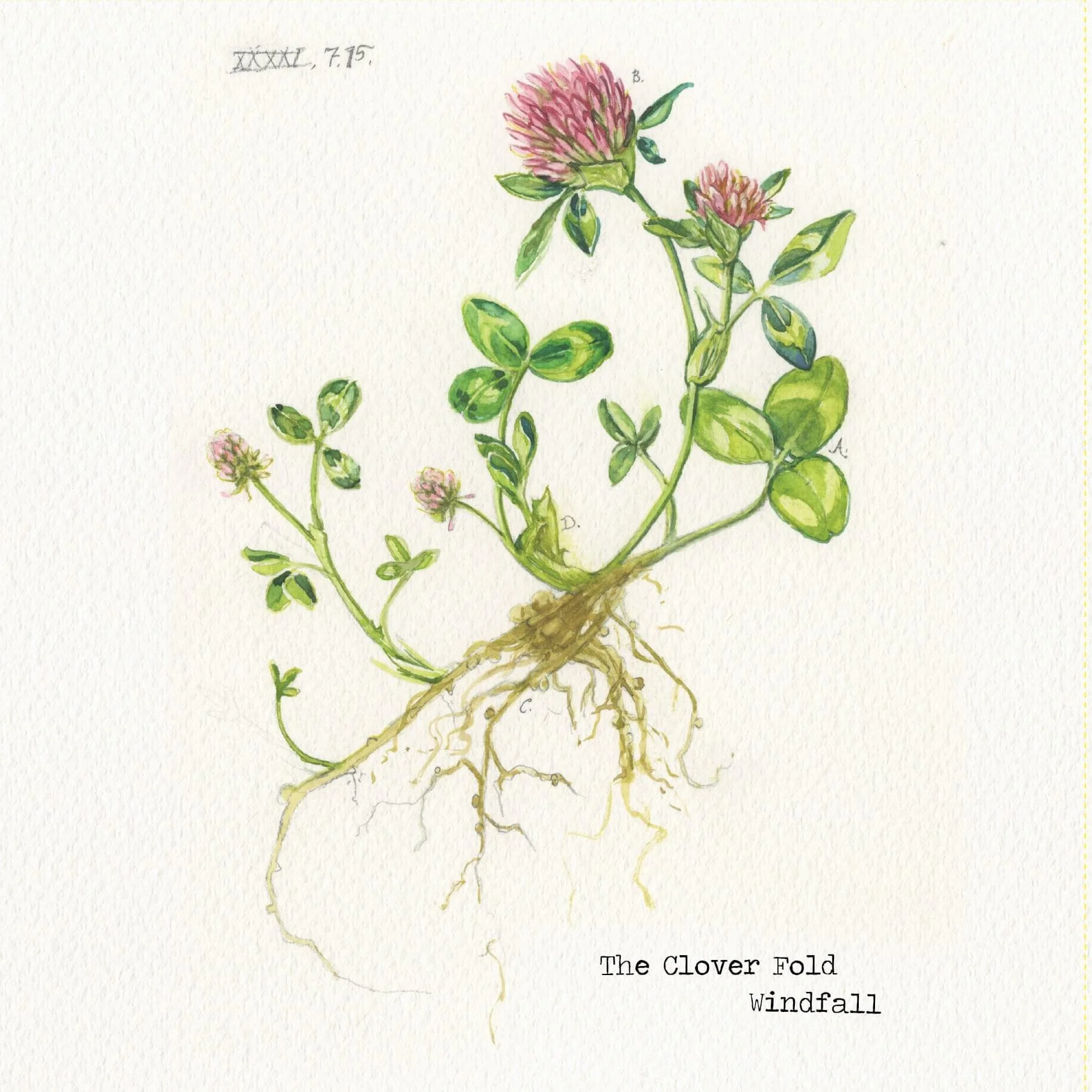 Clover Fold