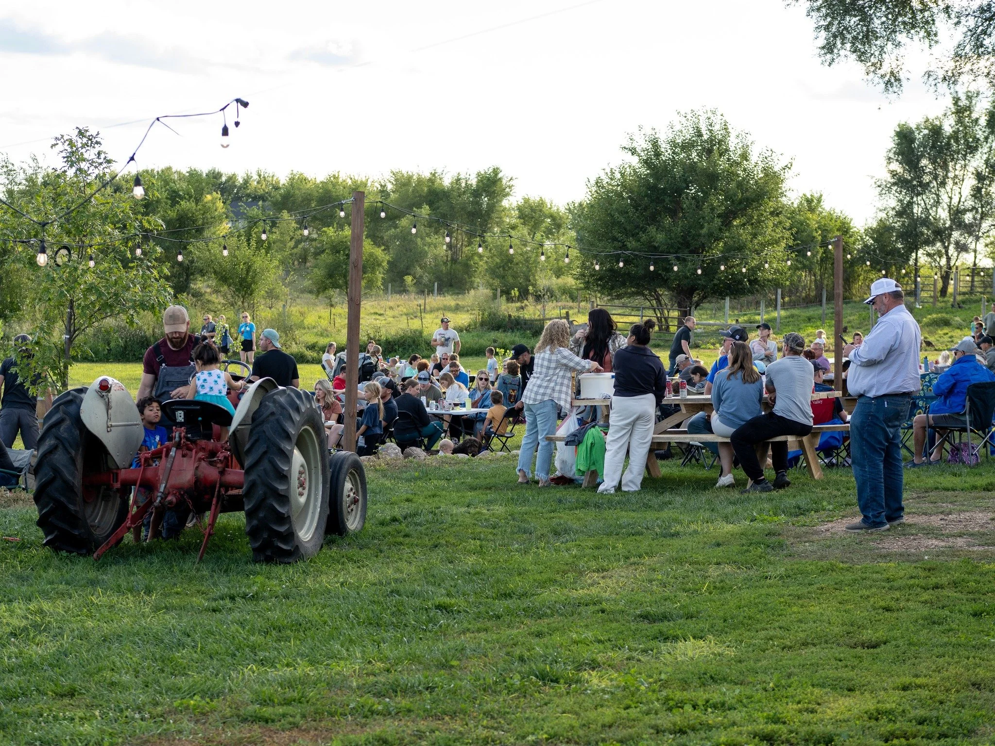 541152956_1201451052013334_4235234866809812503_n.jpg (Copy)