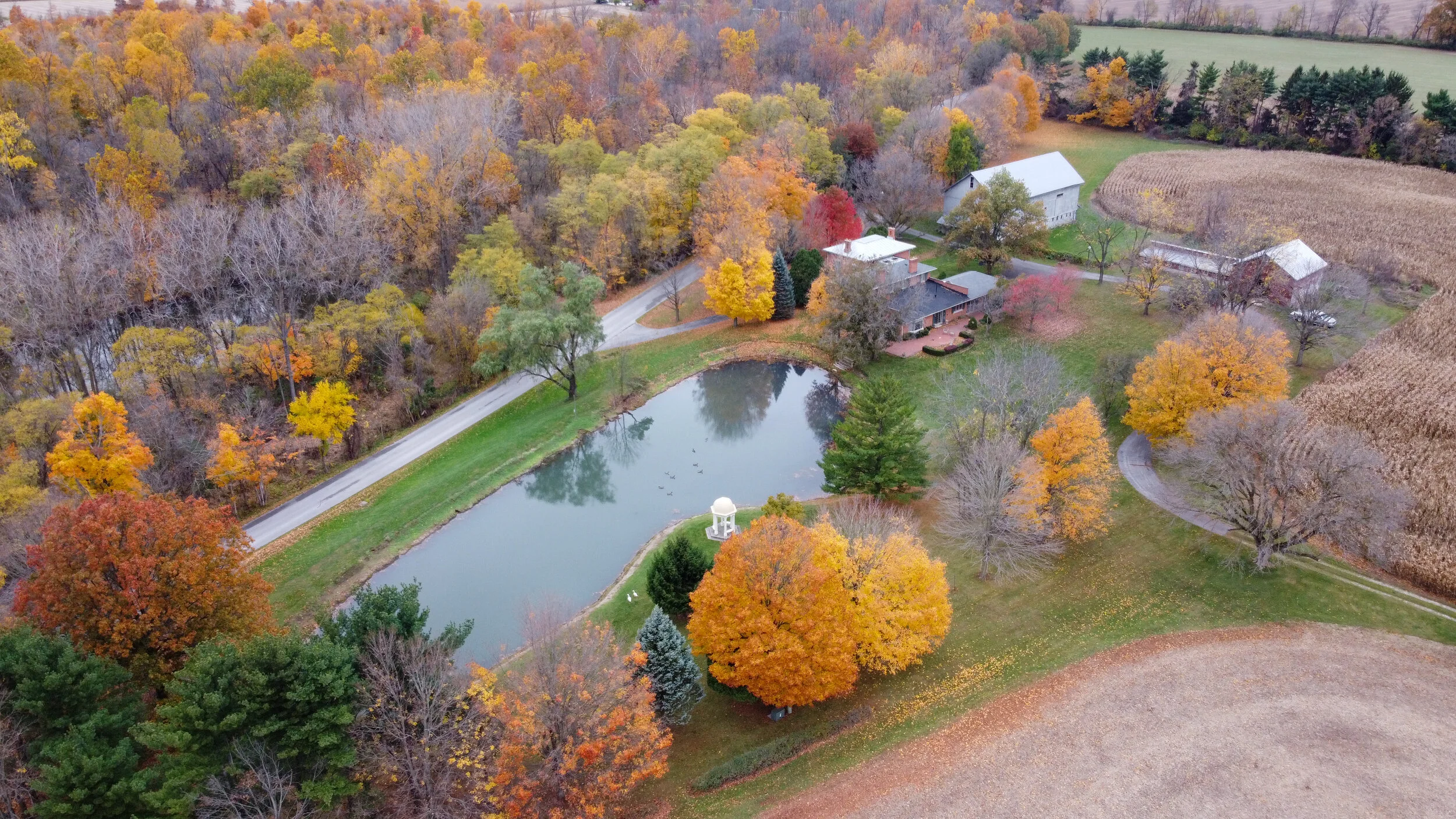 MavicDrone-0618.jpg