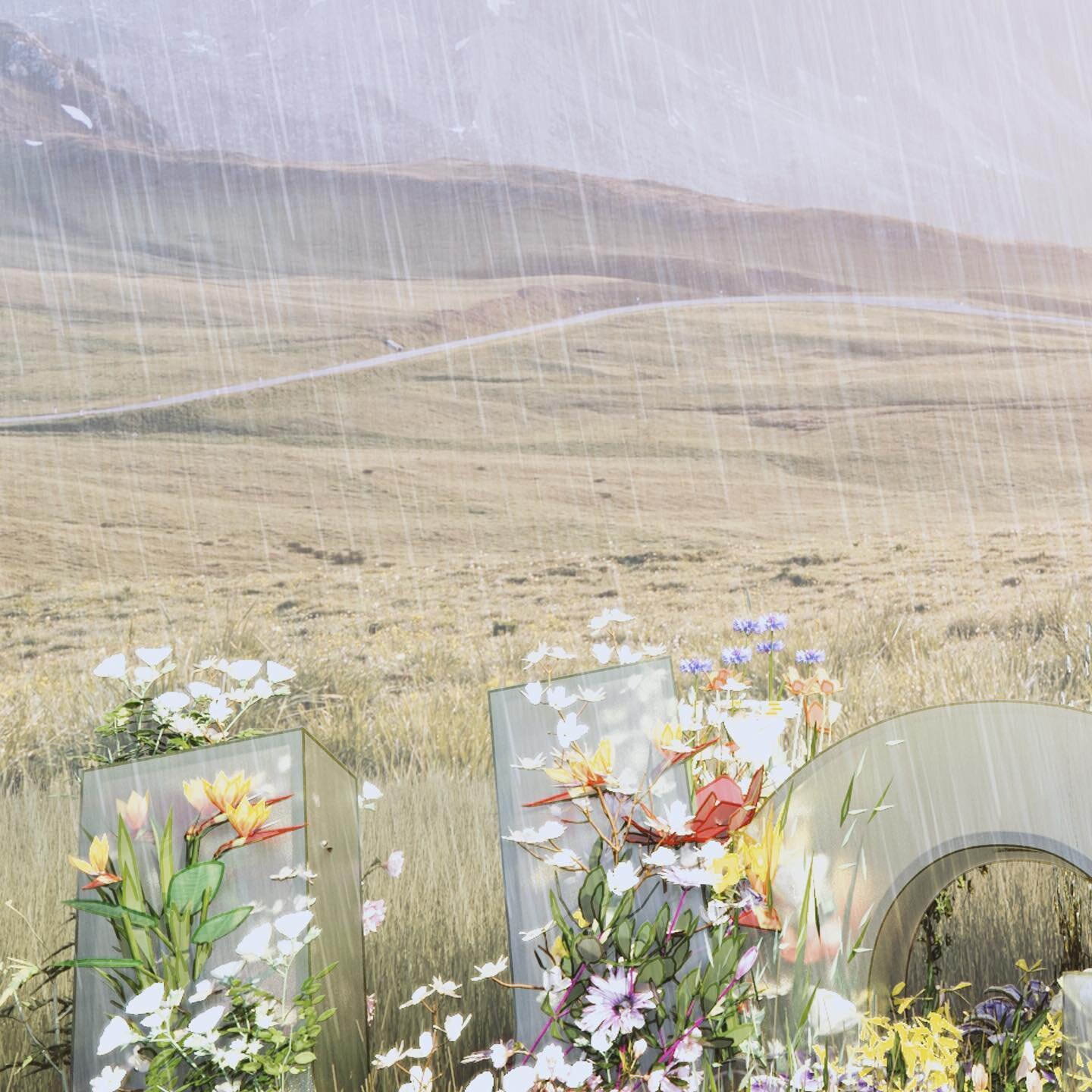 Florals, translucency and beauty. #typography #rendering #art #floral #rain #field #landscape