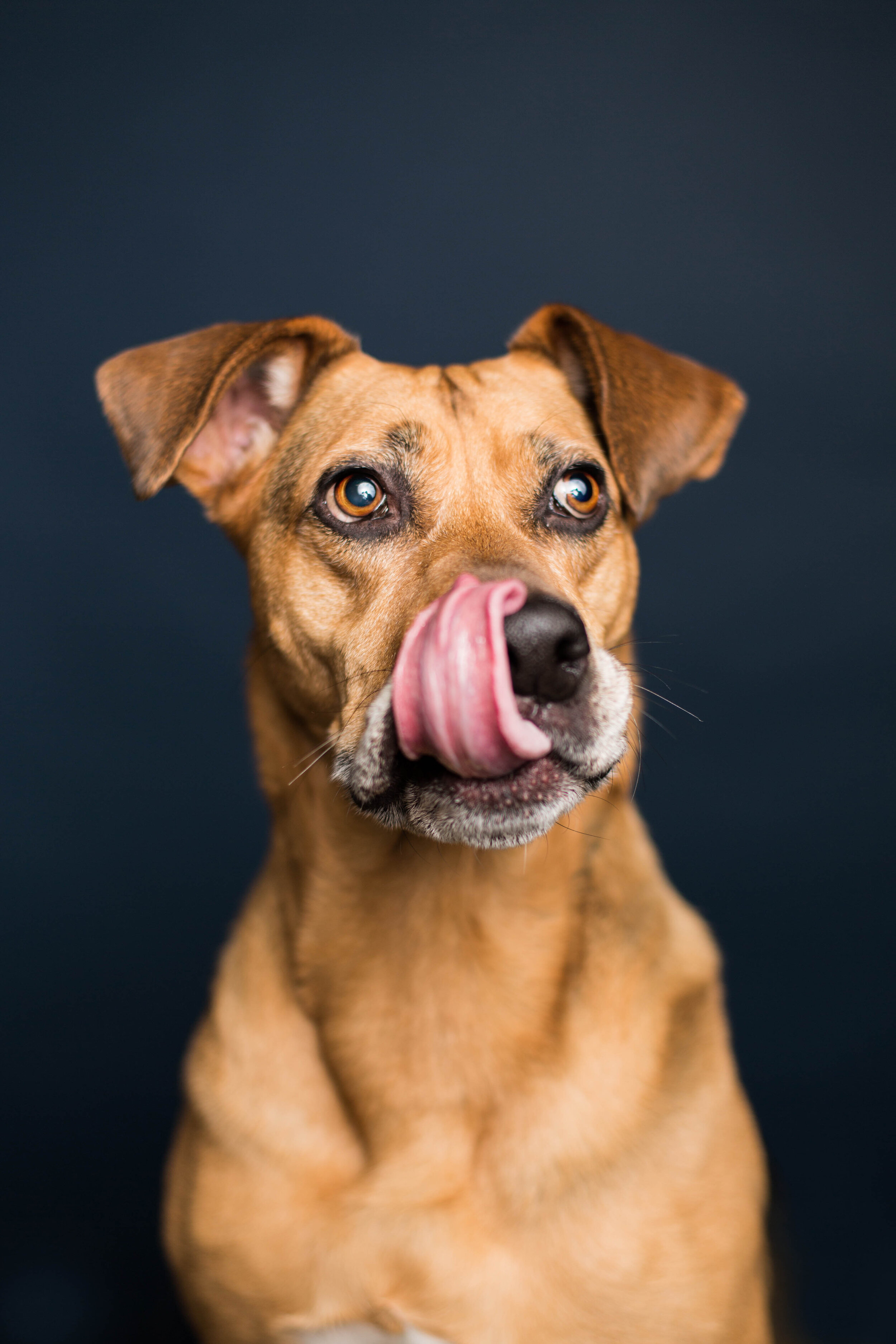 Sadie-2.jpg