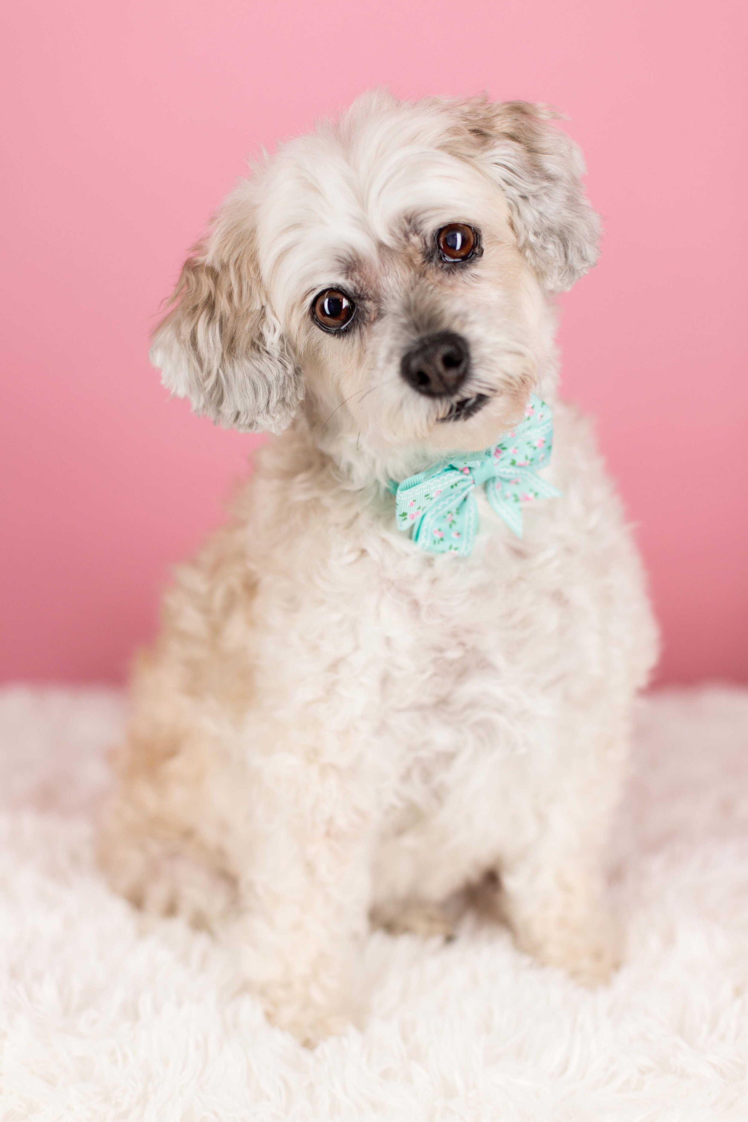 Coco-Chanel-1-a.jpg