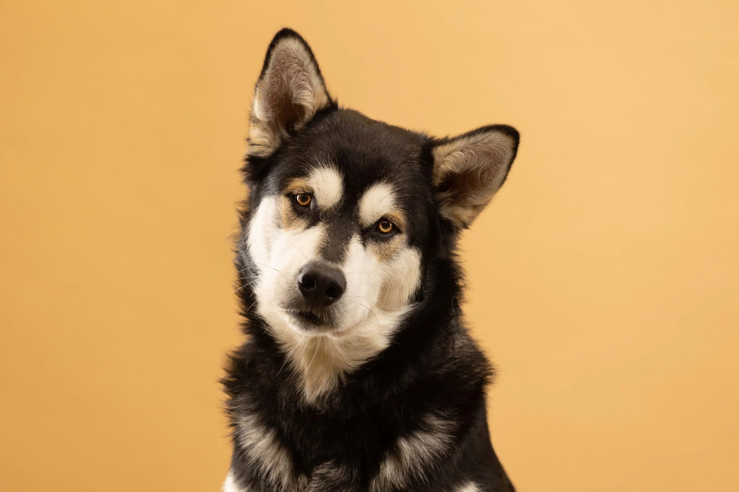 1E4A4160 copy-small.jpg