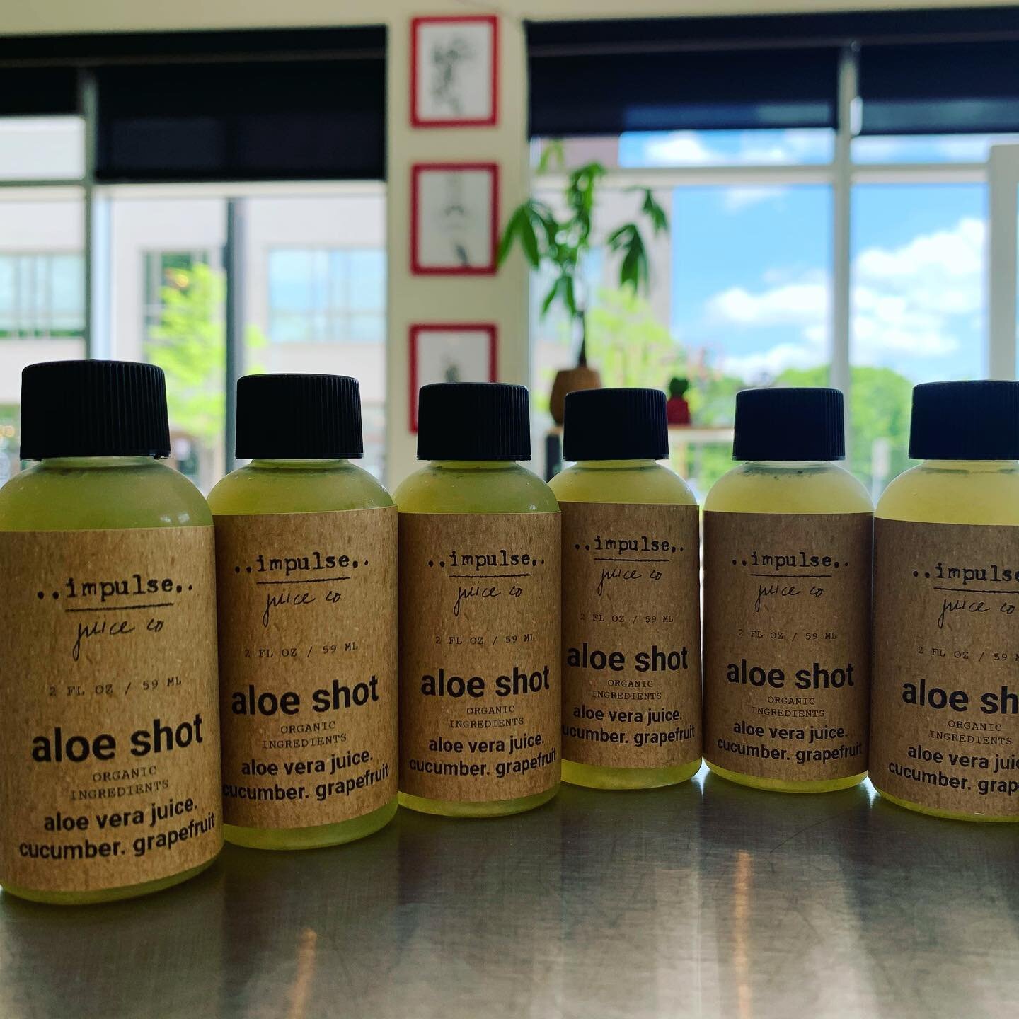 if you&rsquo;re in need of a cool down today, we have a slew of aloe shots available!
in addition to being a digestive aid, aloe vera juice is very hydrating and restorative after a workout (or basically after just being outside on a day like today ?