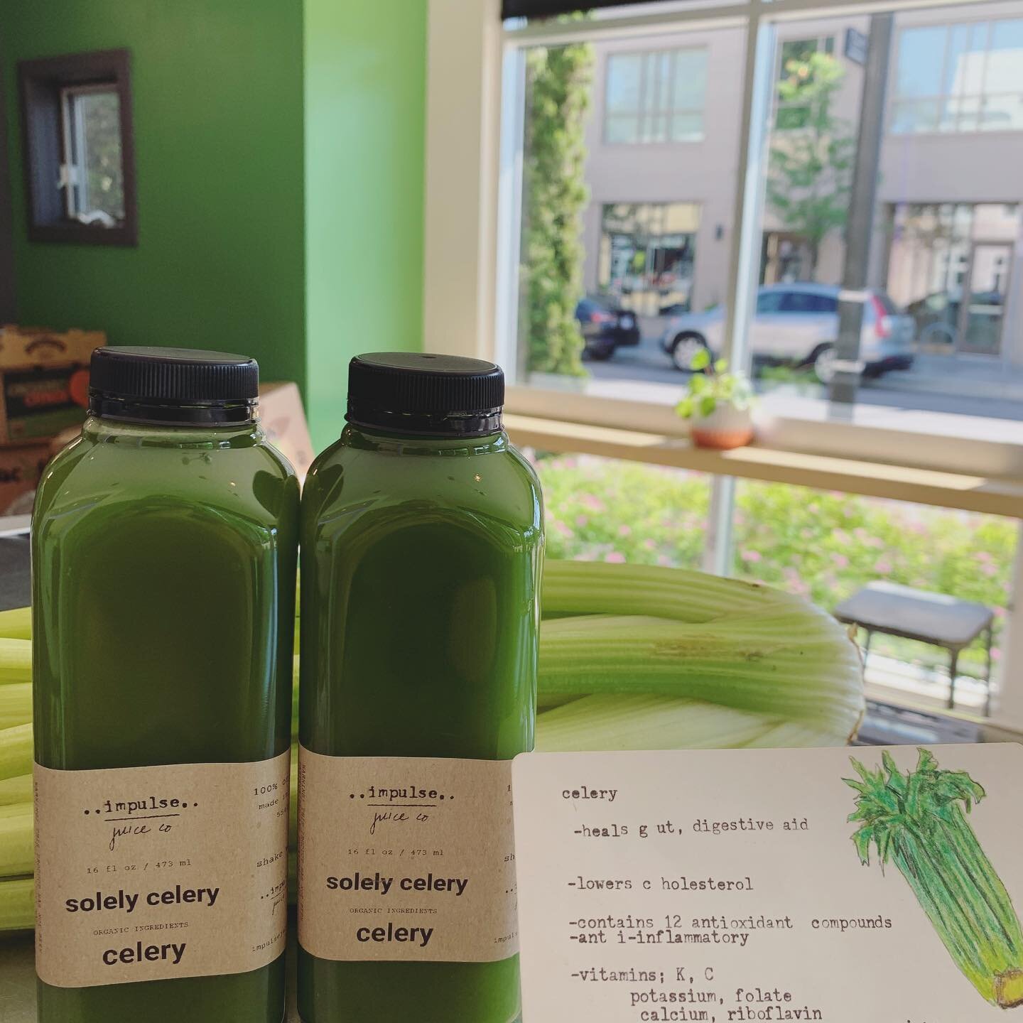 fresh celery juice is in stalk ... get it? 🥁 

hey, we&rsquo;ll be here all week (literally)

apparently there is a celery museum in Michigan, please comment if you&rsquo;ve been or have been longing to go!

#celeryfacts #michiganthehomeofcelery #mo