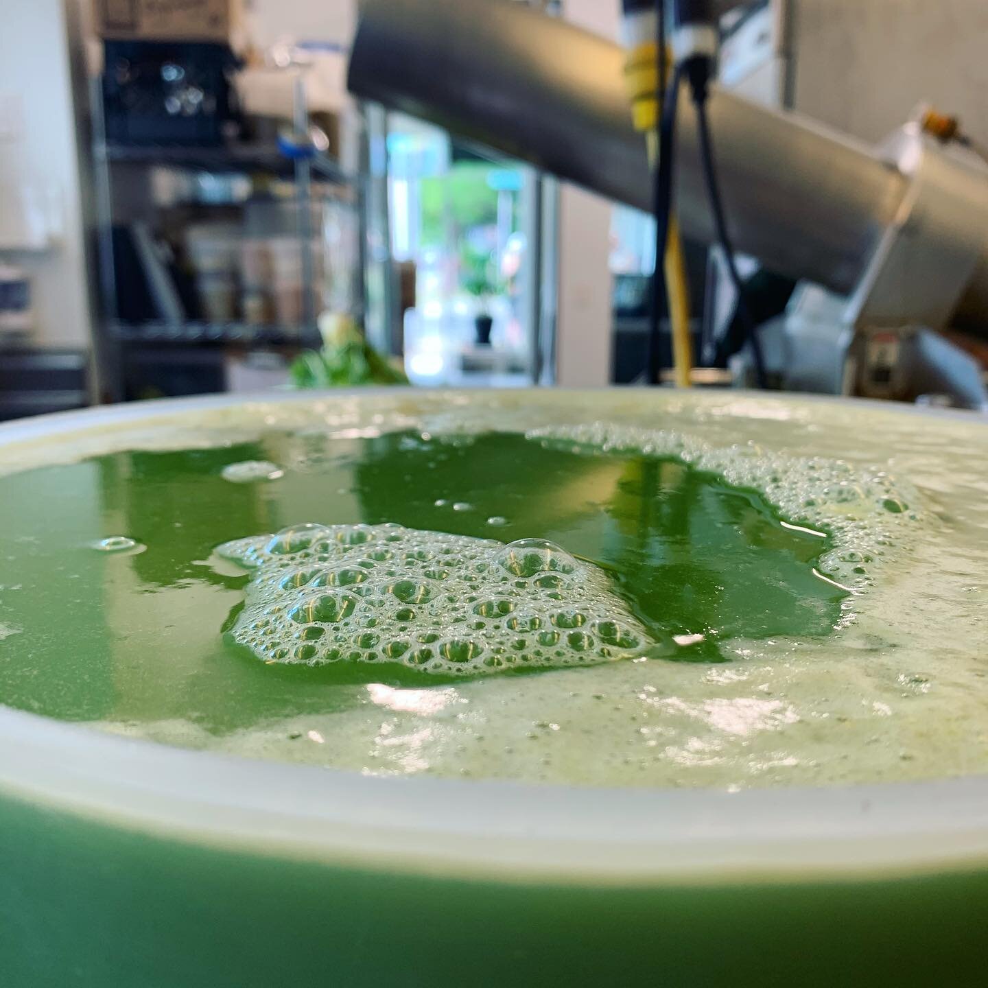 green juice to the freakin brim! 🧃