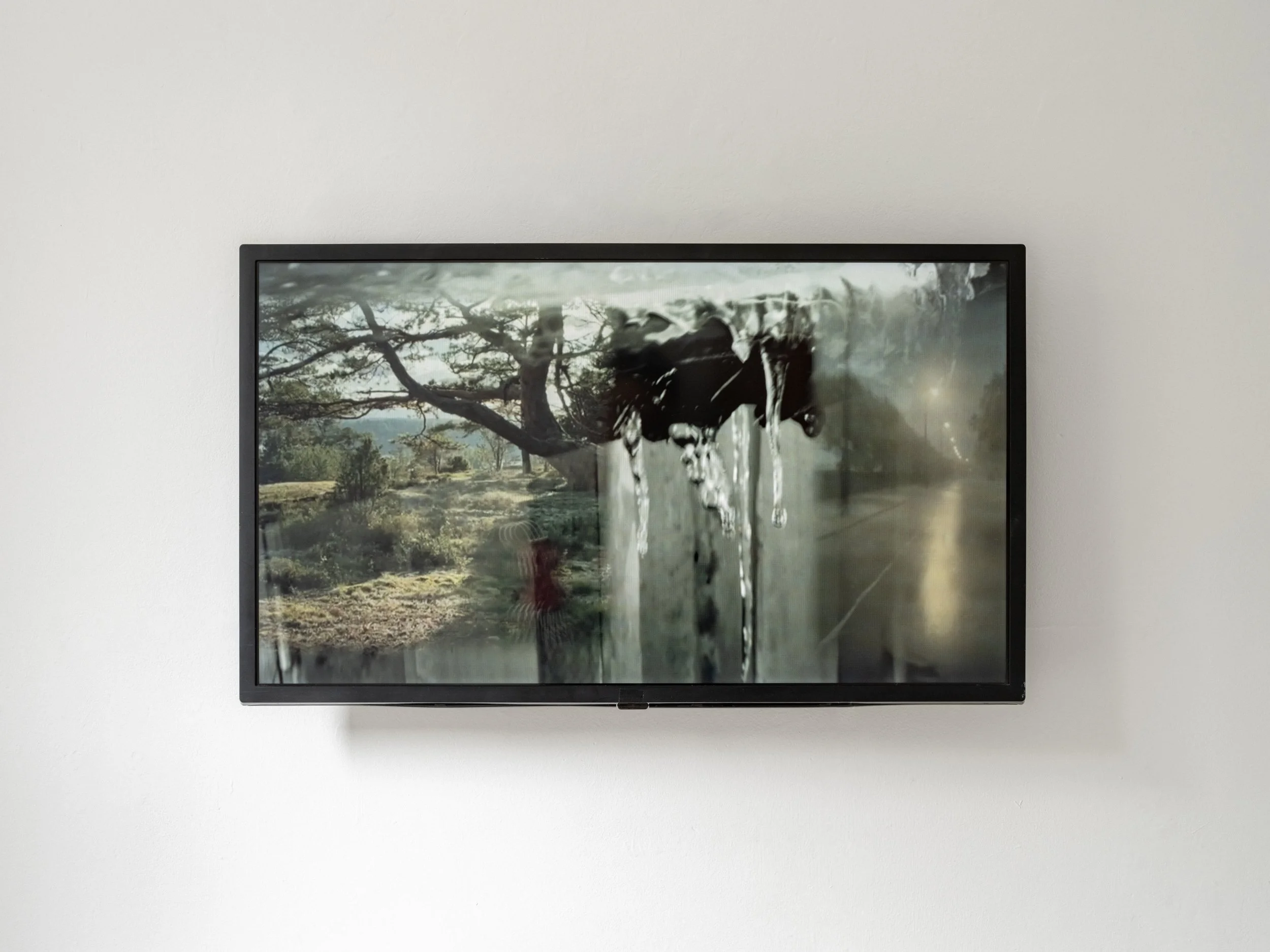 Transference-56-- Web Res.jpg