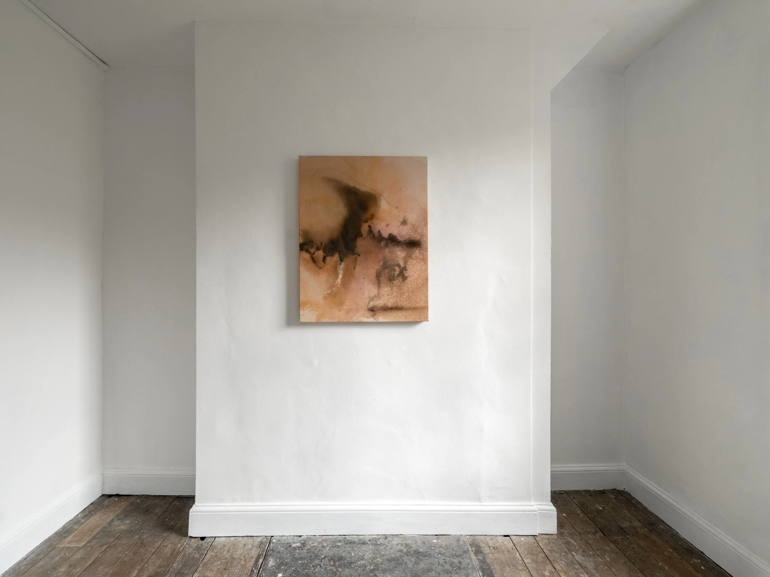 Transference-51-- Web Res.jpg