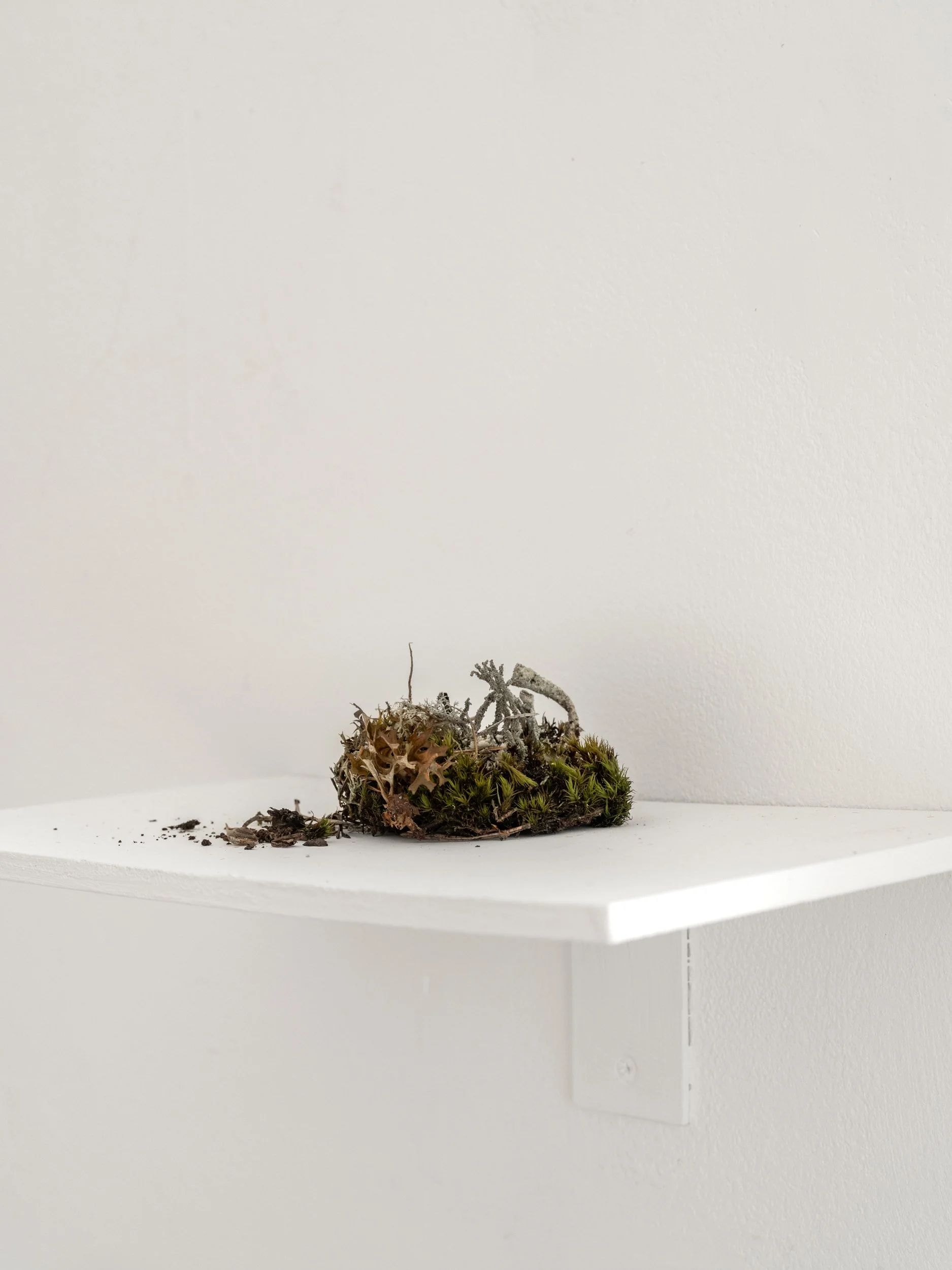 Transference-41- Web Res.jpg