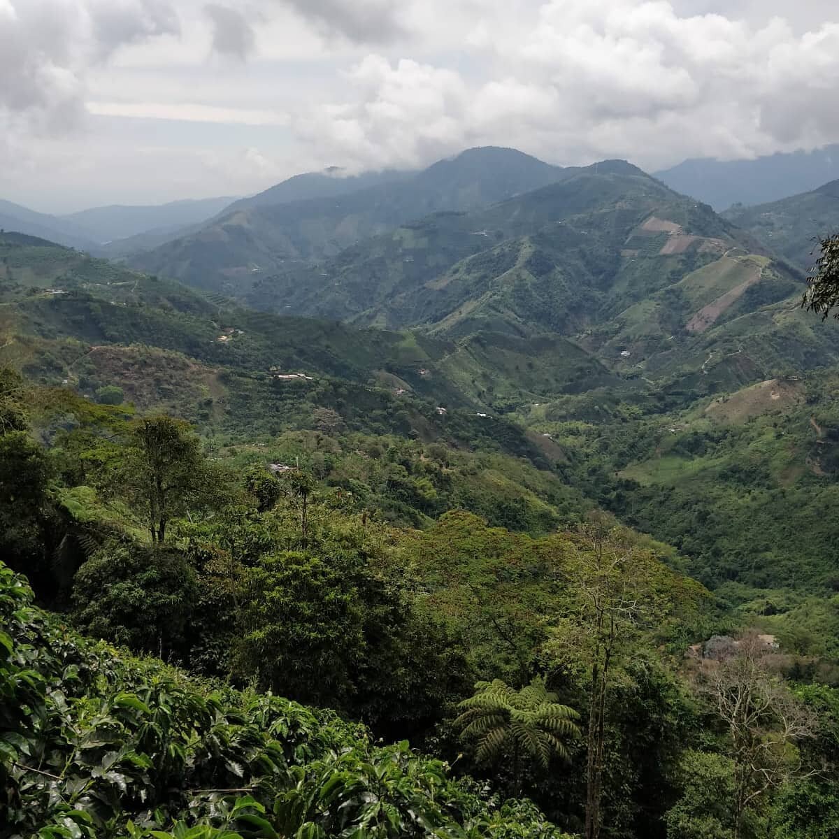 Notre m&eacute;tier de torr&eacute;facteur consiste &agrave; trois choses : valoriser un terroir, sublimer tout le travail &eacute;reintant des producteurs et proposer un v&eacute;ritable voyage en tasse. C'est cet alignement des attentions qui dicte