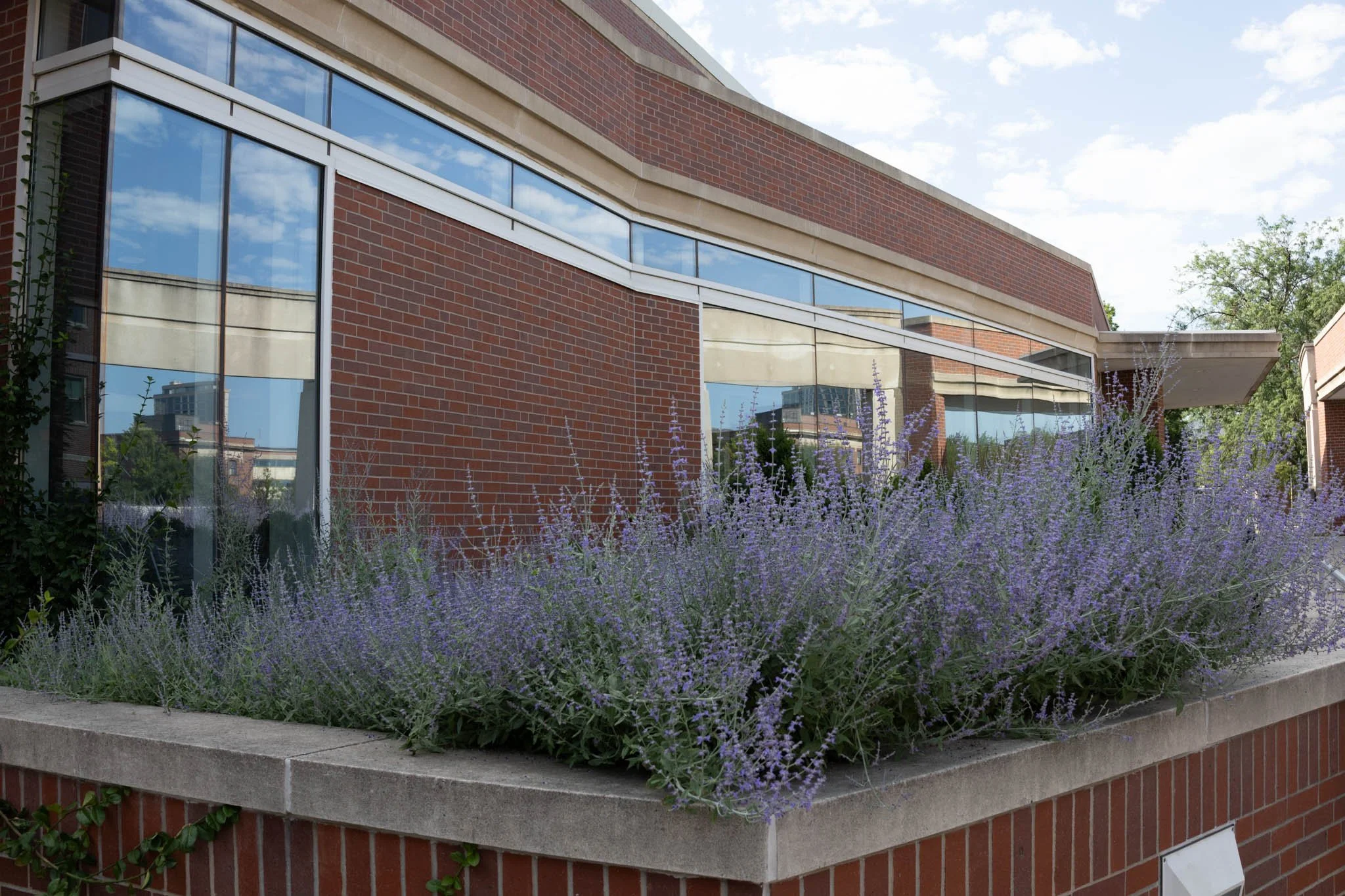 LNKConstructionPics-UNL Selleck Student Housing Redevelopment-20260627-0038.jpg