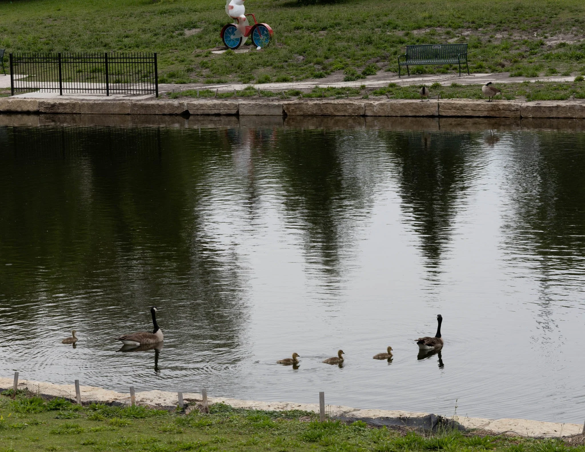 LNKConstructionPics-Wyuka Park-Pershing Mural-20260528-0004.jpg