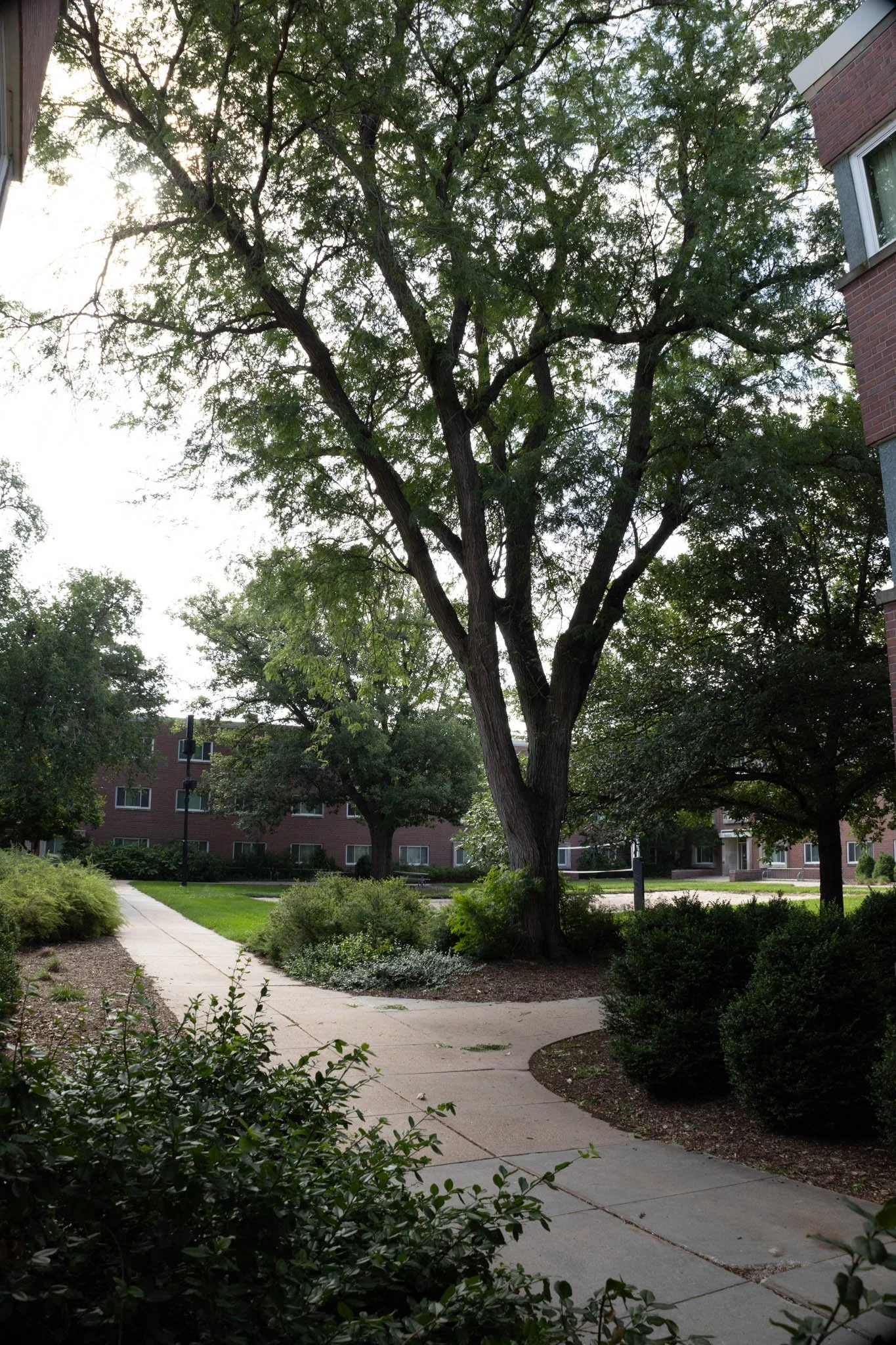 LNKConstructionPics-UNL Selleck Student Housing Redevelopment-20260627-0055.jpg