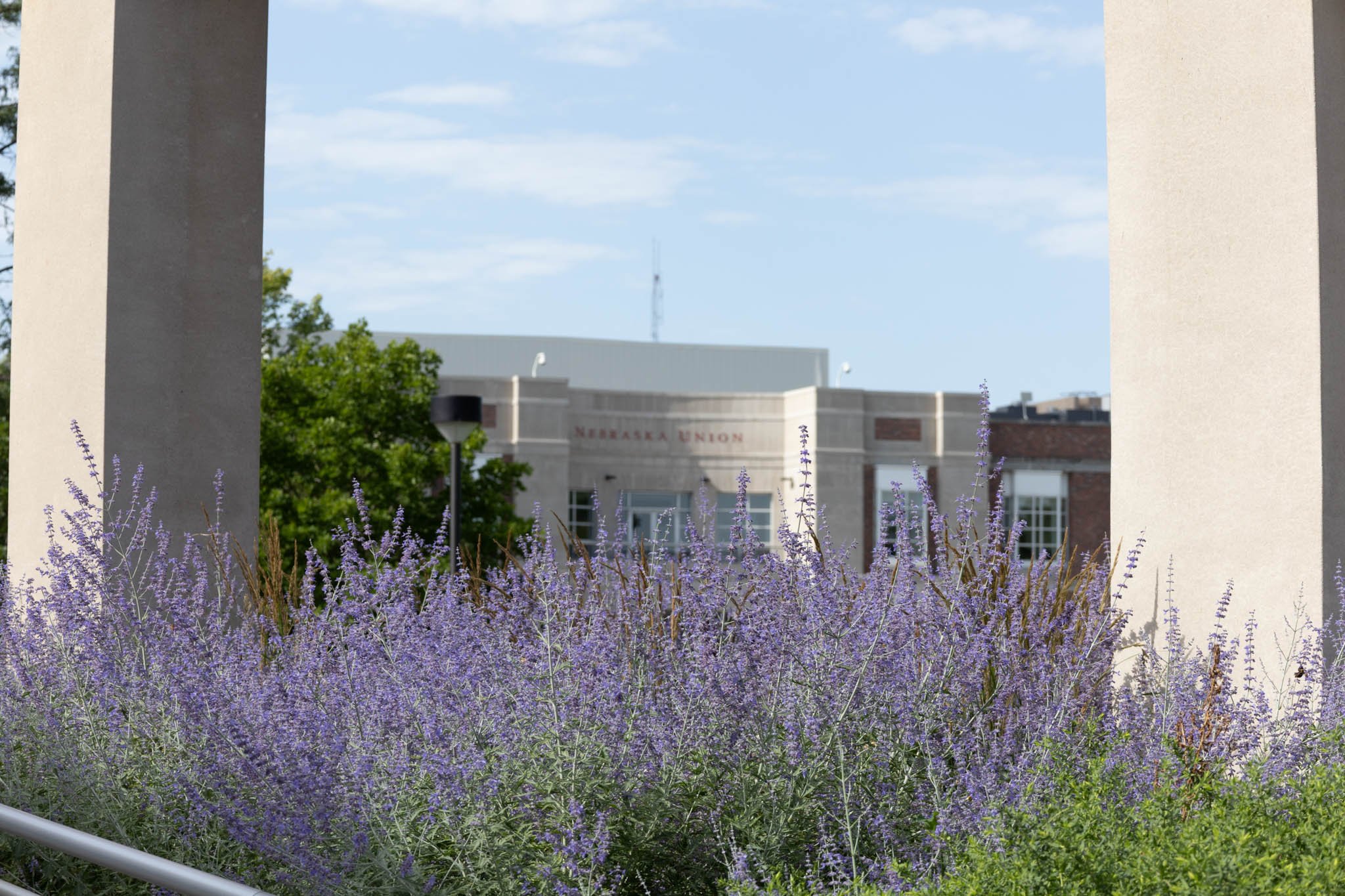 LNKConstructionPics-UNL Selleck Student Housing Redevelopment-20260627-0040.jpg