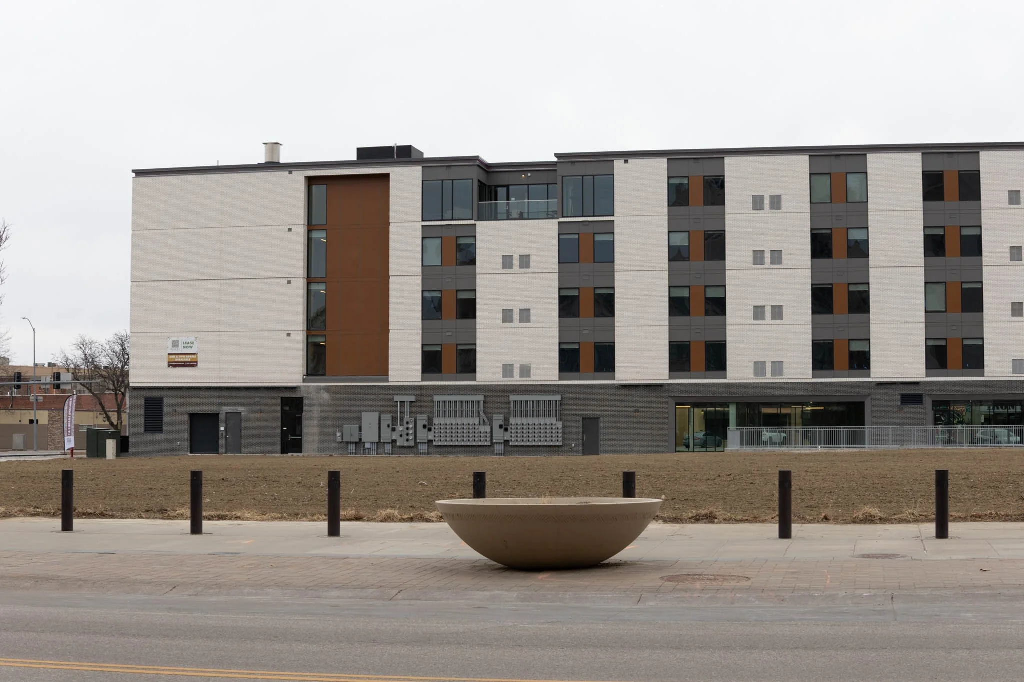 LNKConstructionPics-Mural-White Lotus-20260301-0045.jpg