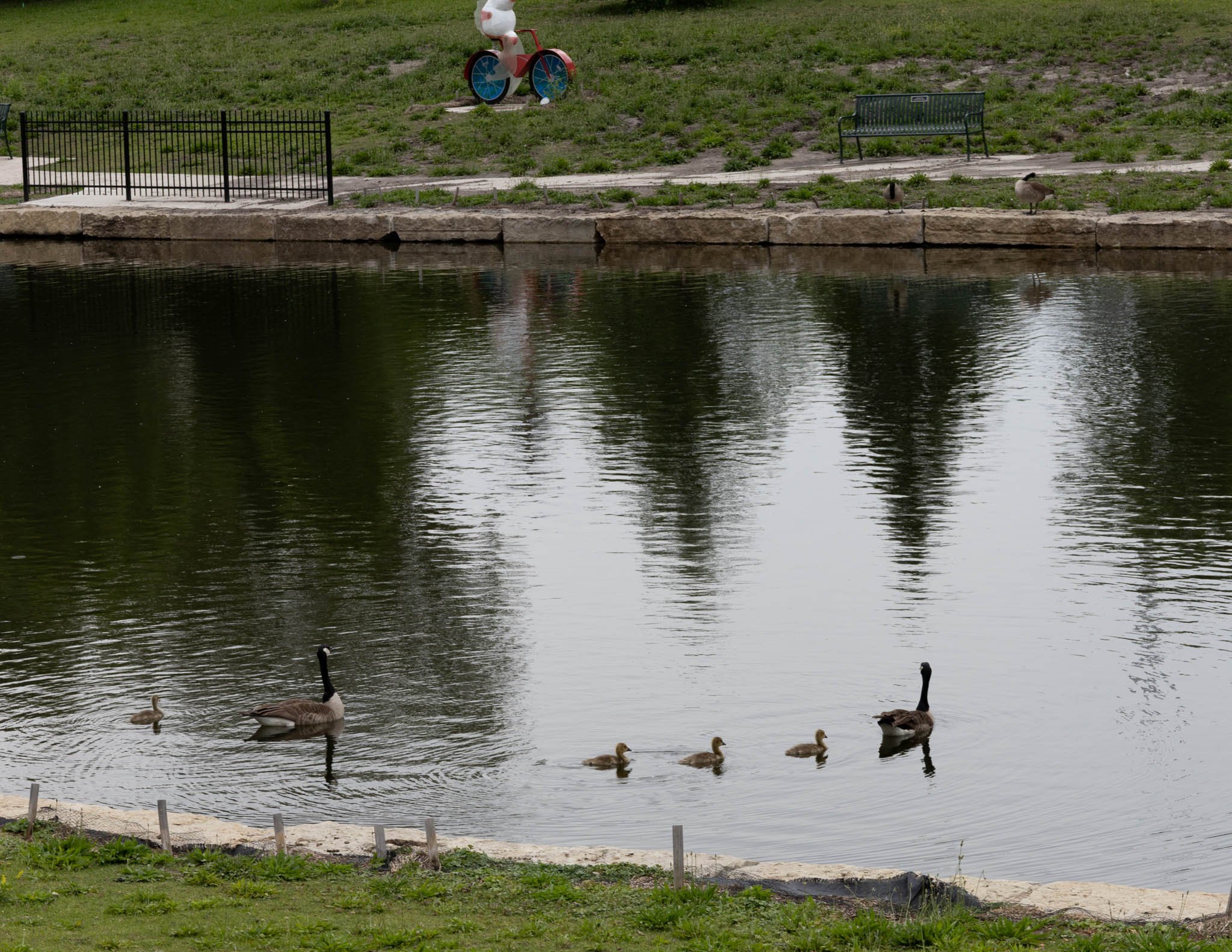 LNKConstructionPics-Wyuka Park-Pershing Mural-20260528-0004.jpg