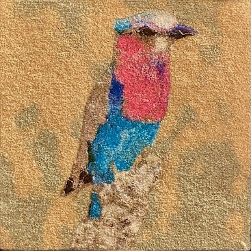 African Bird