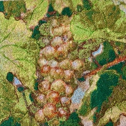 Harvest Grapes 2
