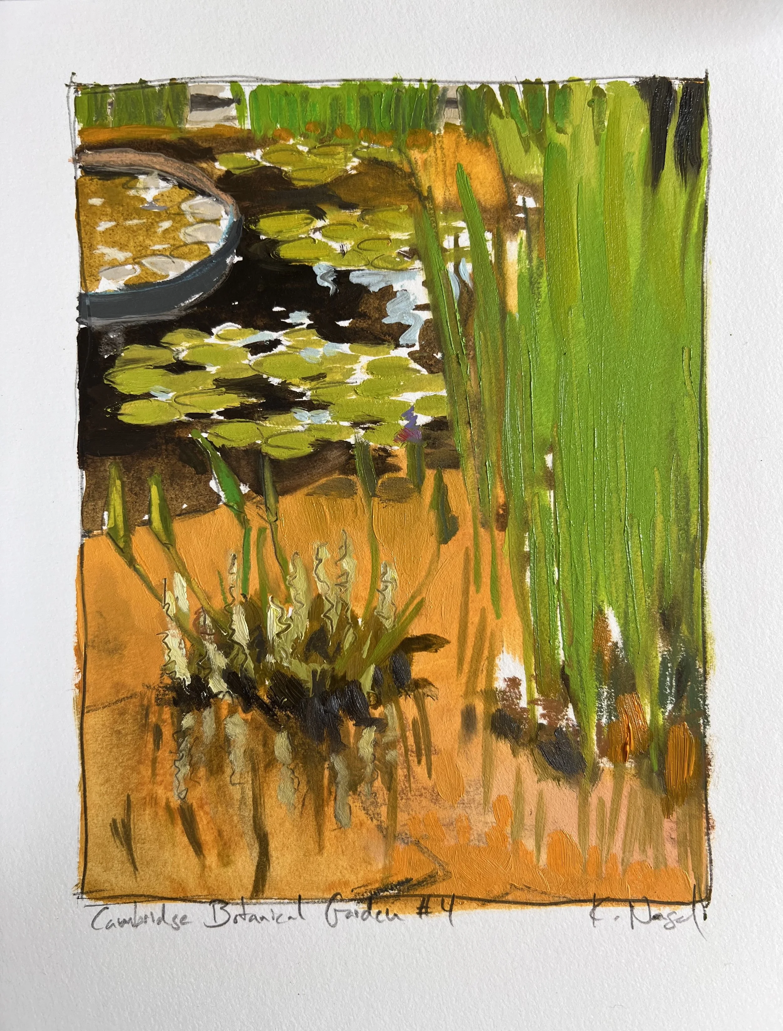 CambridgeBotanicalGarden4.jpeg