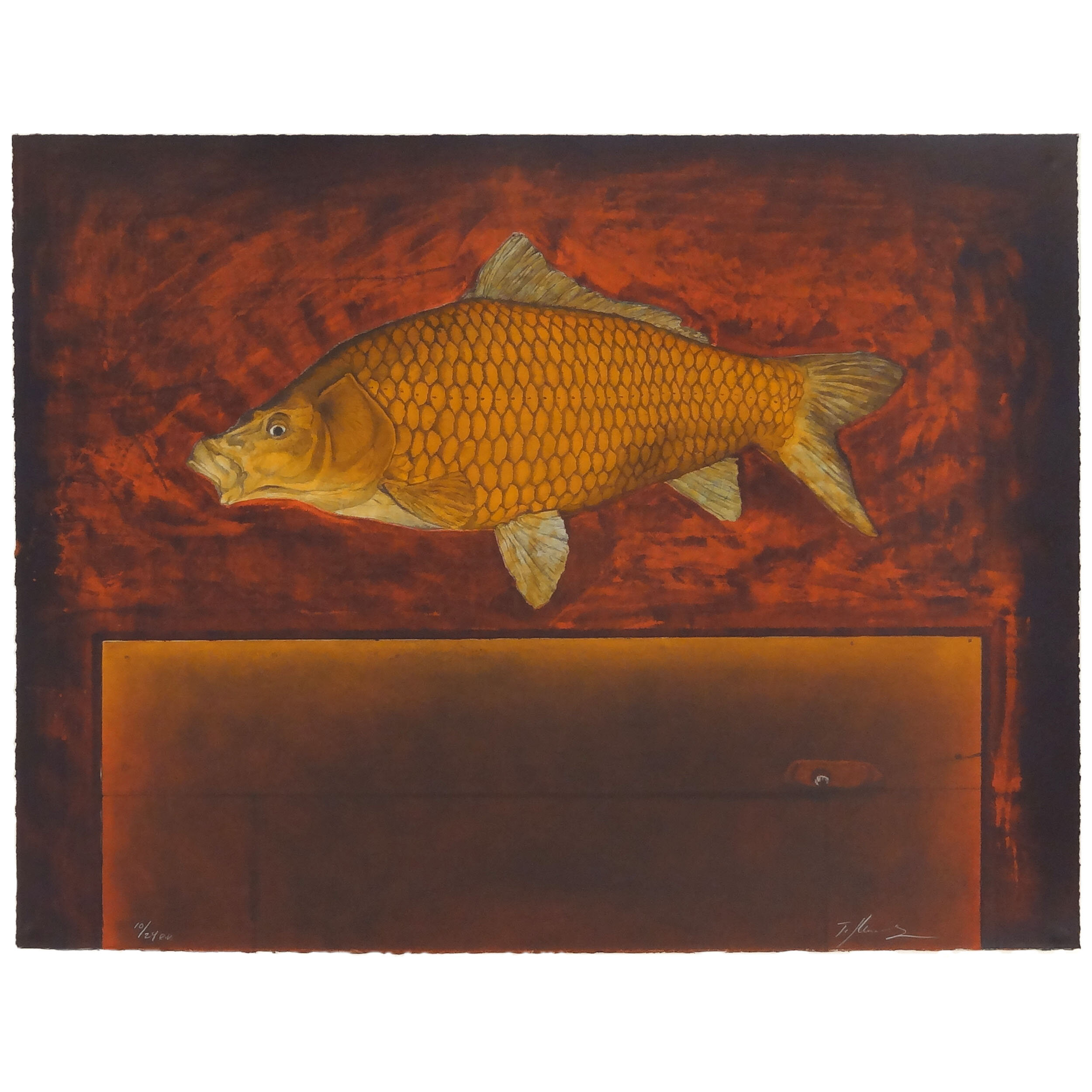 Common Carp 1x1 collection template_0004_Layer 1.jpg