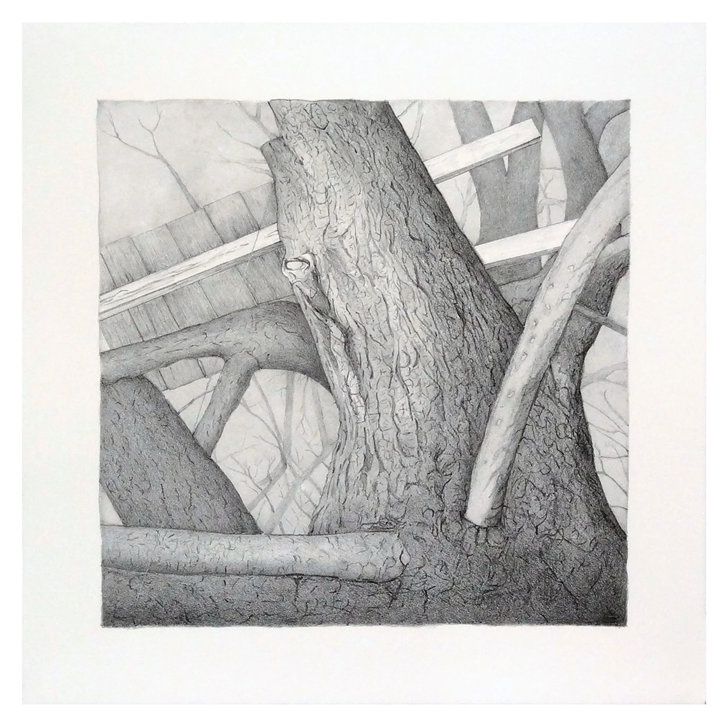 Tree Stand I, Tim Sheesley