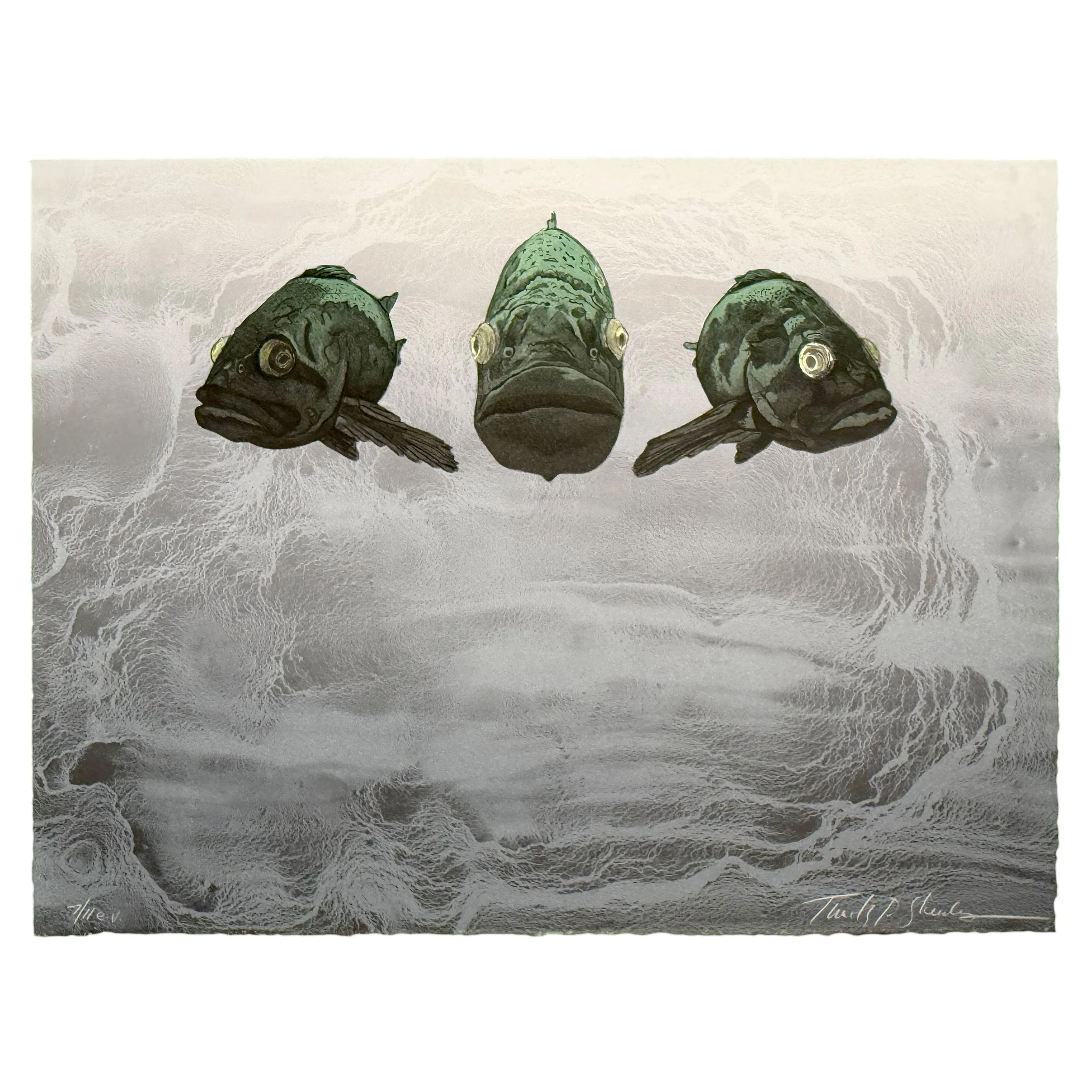 Three Fish Tim Sheesley 7.11.jpg
