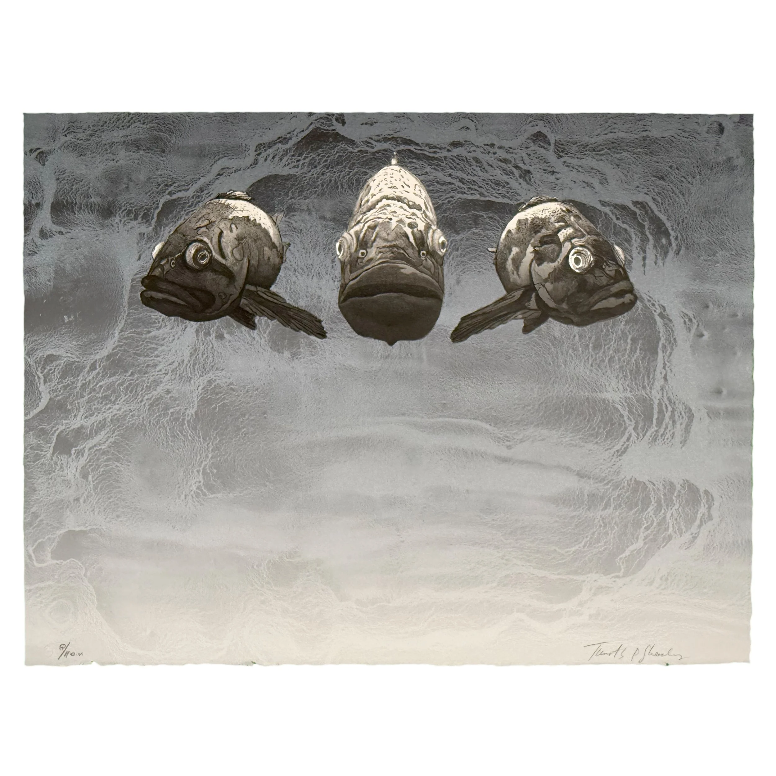 Three Fish Tim Sheesley 8.11.jpg
