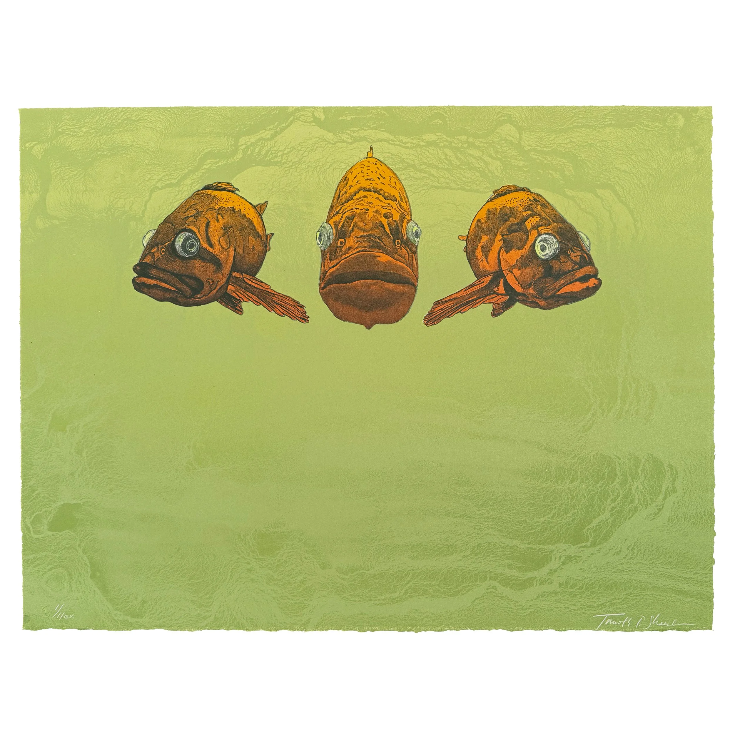 Three Fish Tim Sheesley 1.11.jpg