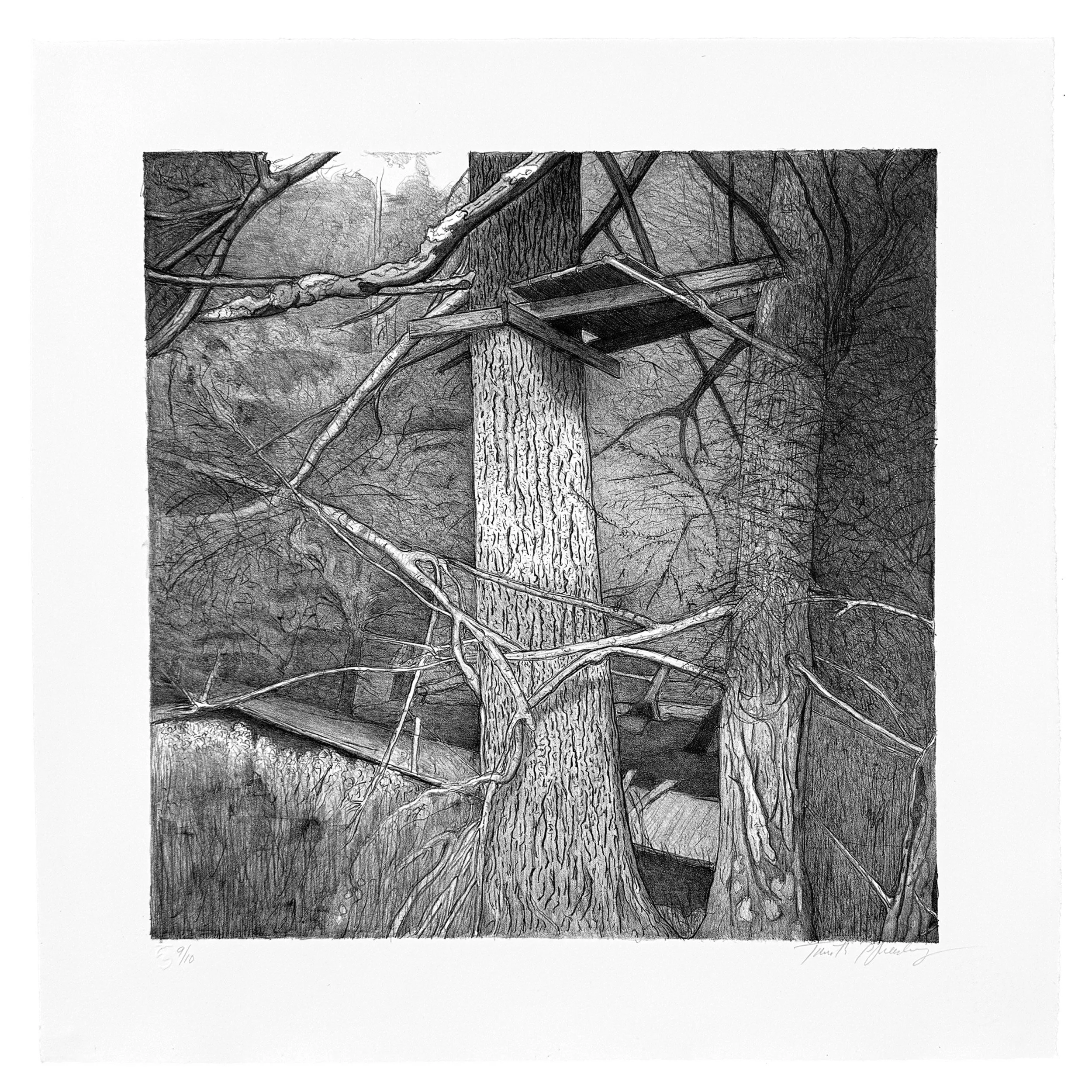 Tree Stand XI, Tim Sheesley