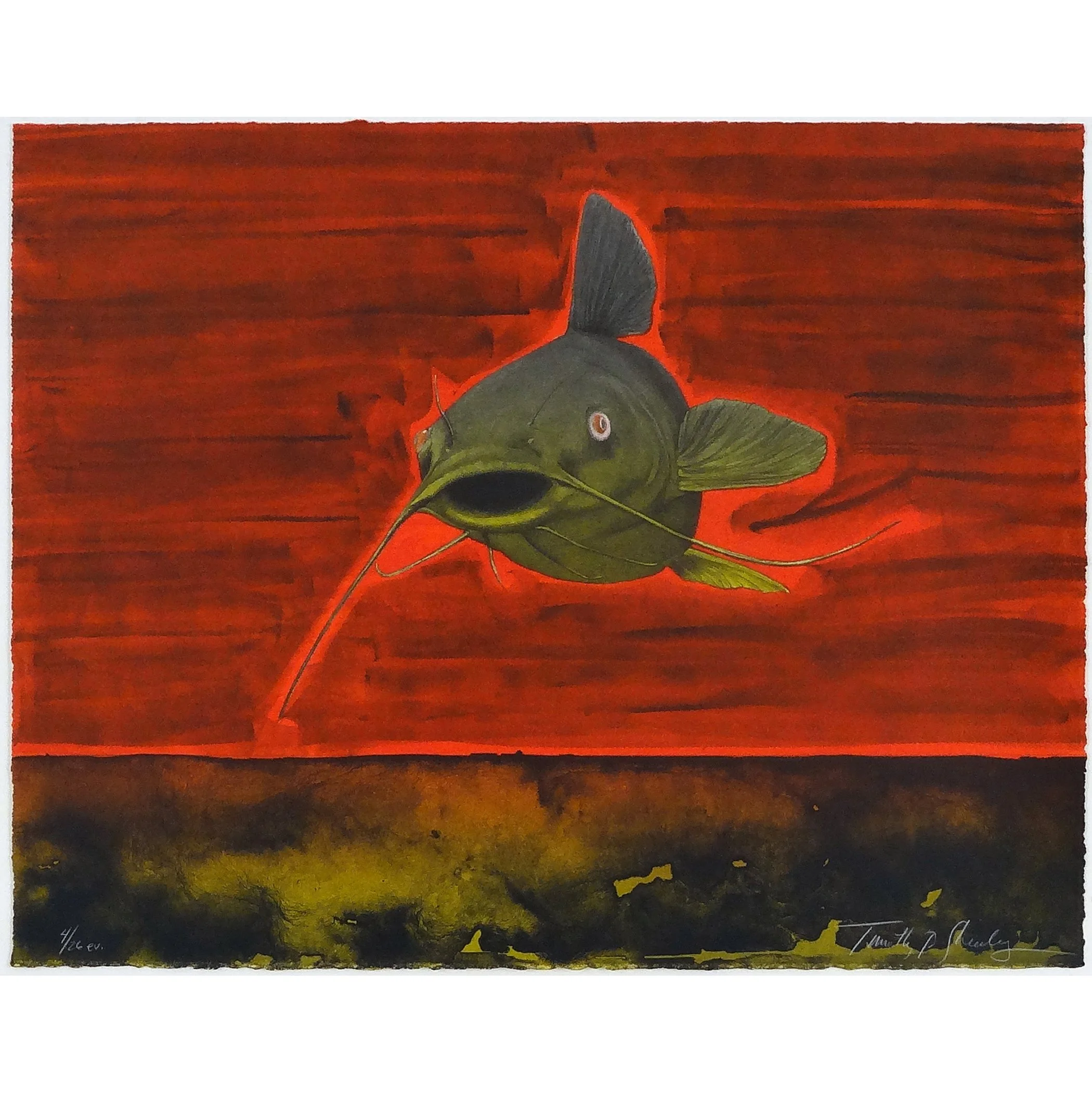 Catfish original lithograph by artist Tim Sheesley available to buy art online