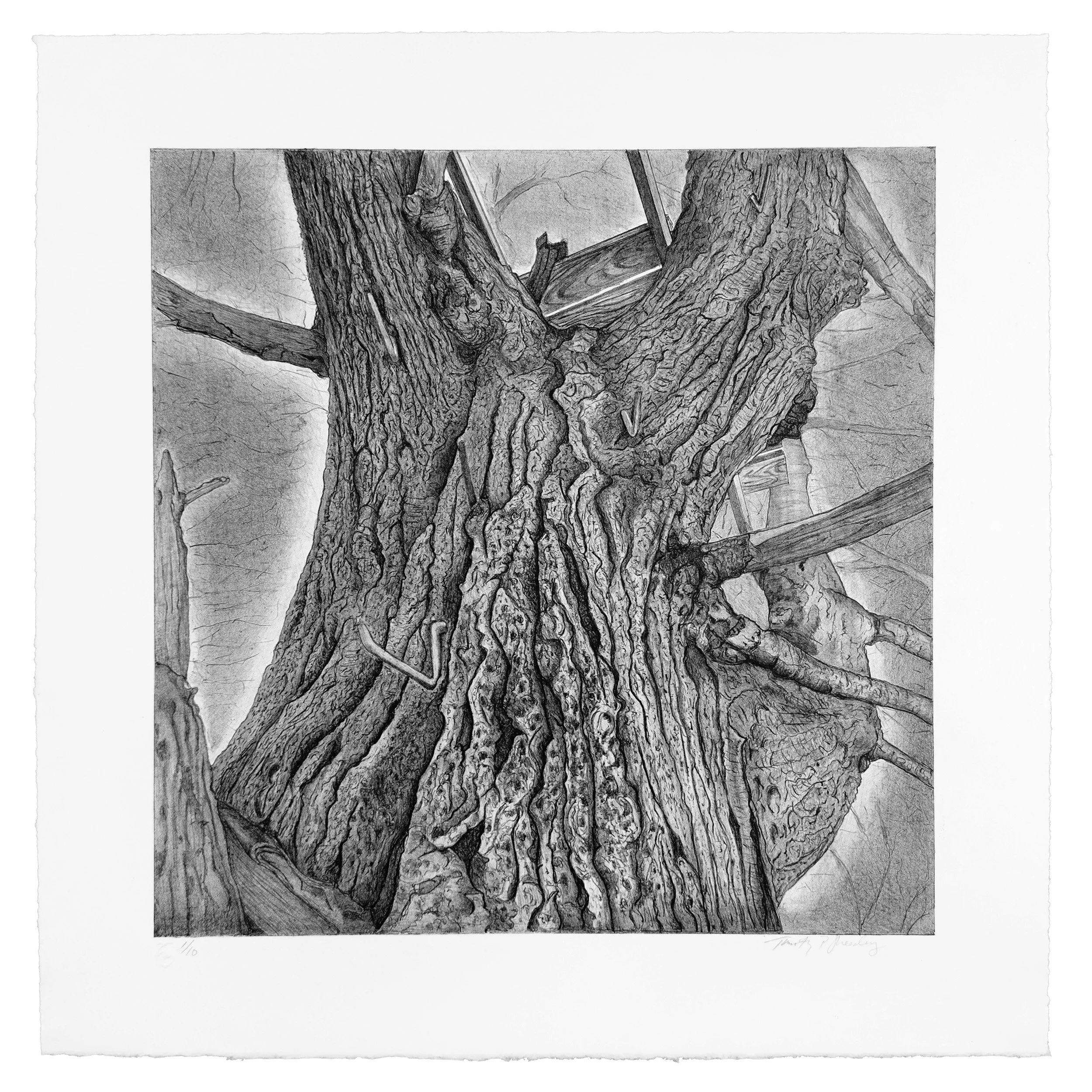 Stand XII, Tim Sheesley